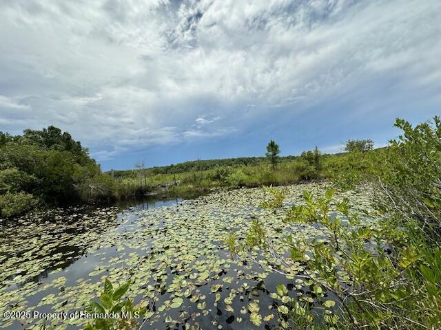 6672 E Channel Drive, Hernando, Florida image 24