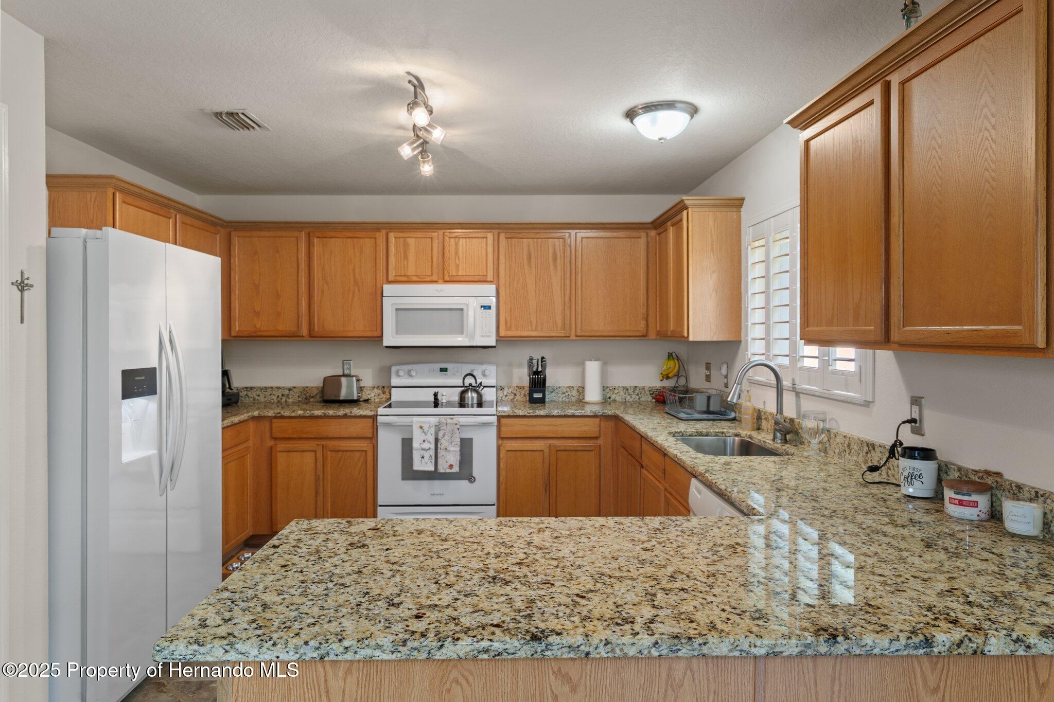 32201 Brookstone Drive, Wesley Chapel, Florida image 14