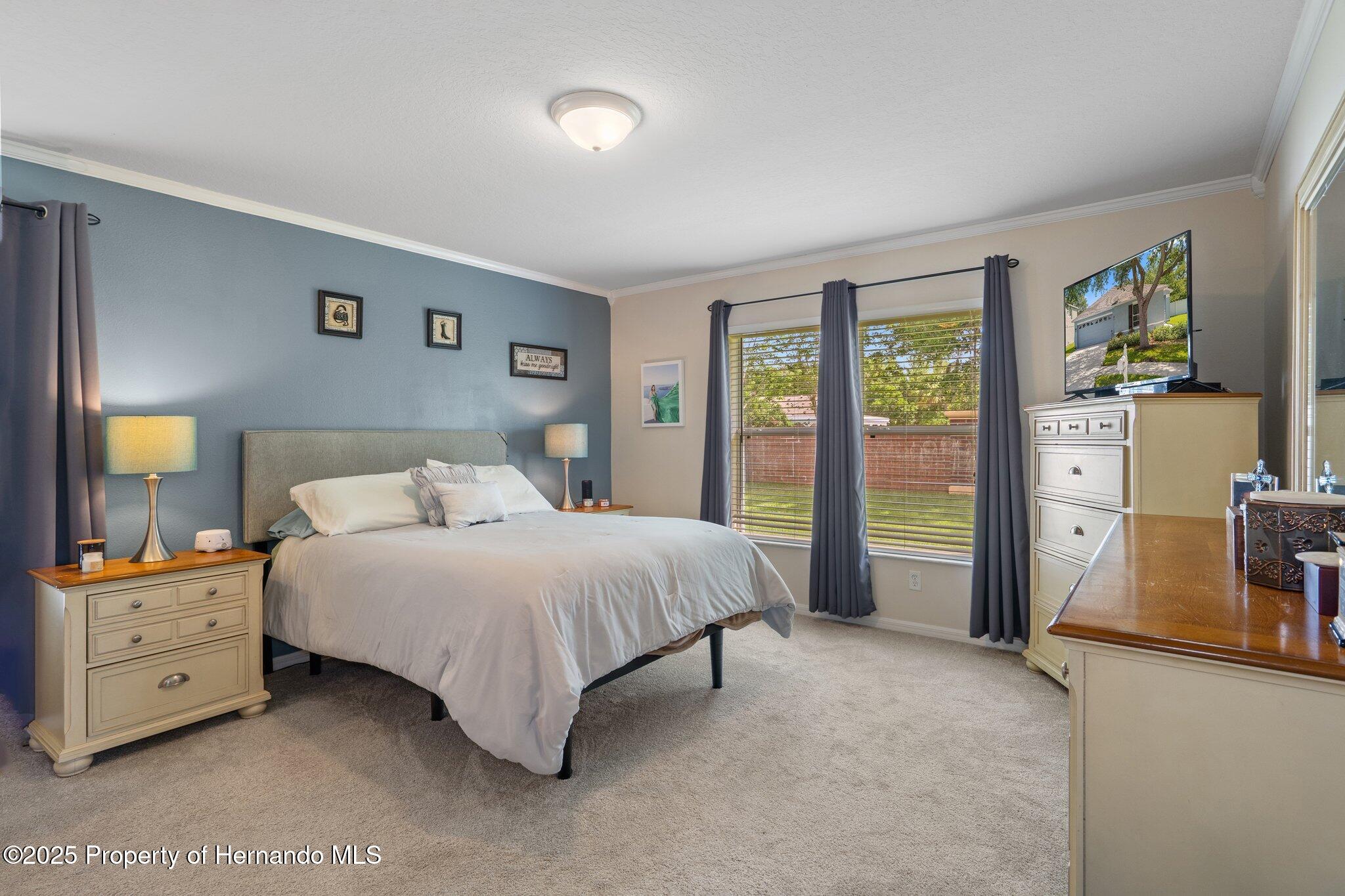 32201 Brookstone Drive, Wesley Chapel, Florida image 19
