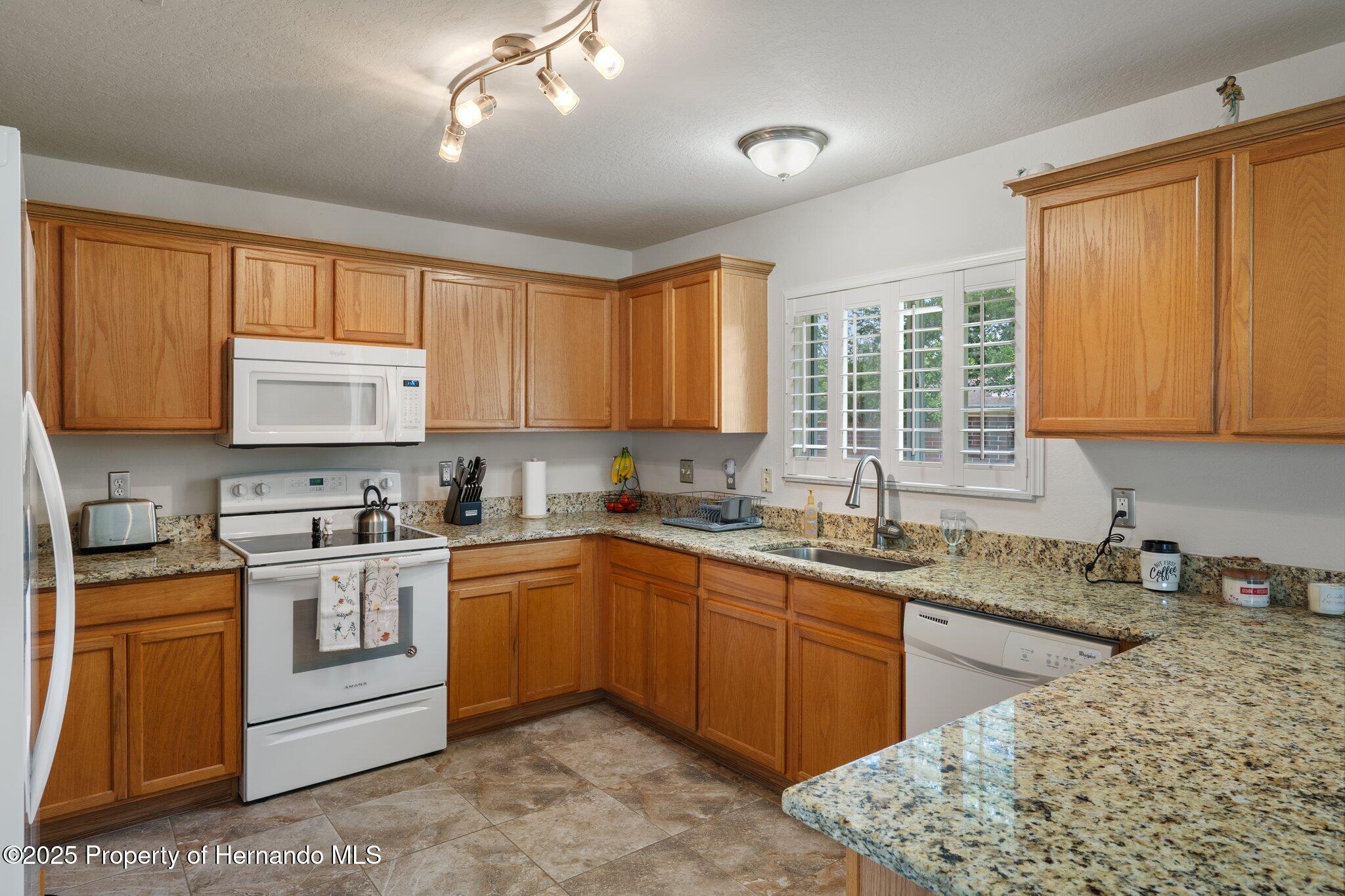 32201 Brookstone Drive, Wesley Chapel, Florida image 15
