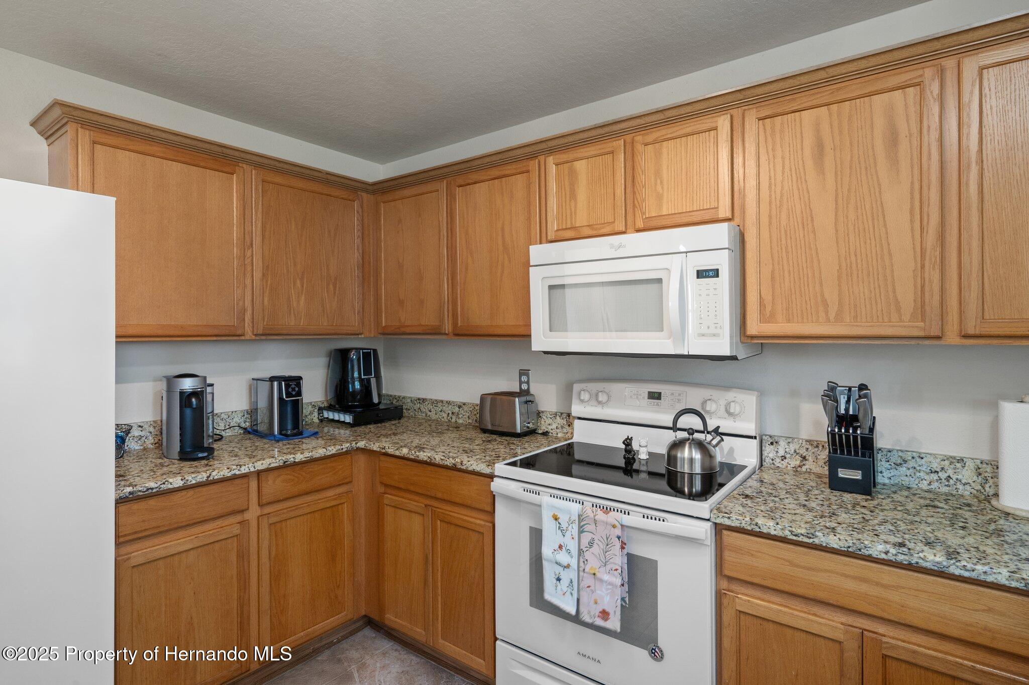 32201 Brookstone Drive, Wesley Chapel, Florida image 17