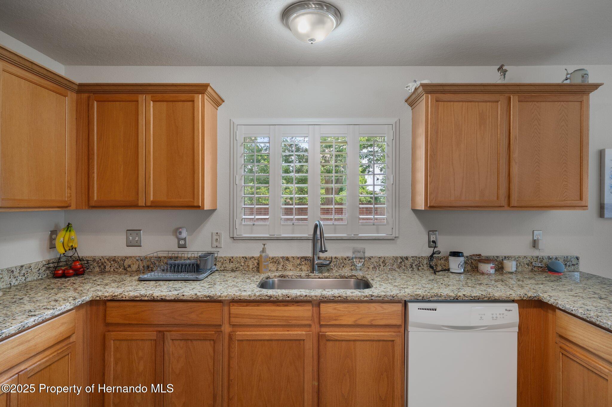 32201 Brookstone Drive, Wesley Chapel, Florida image 18