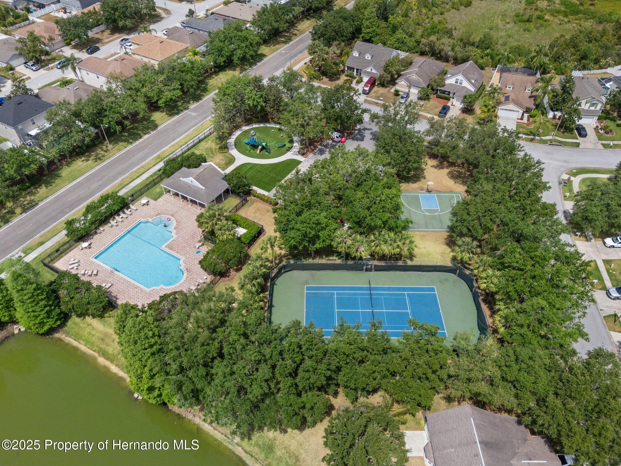 32201 Brookstone Drive, Wesley Chapel, Florida image 39