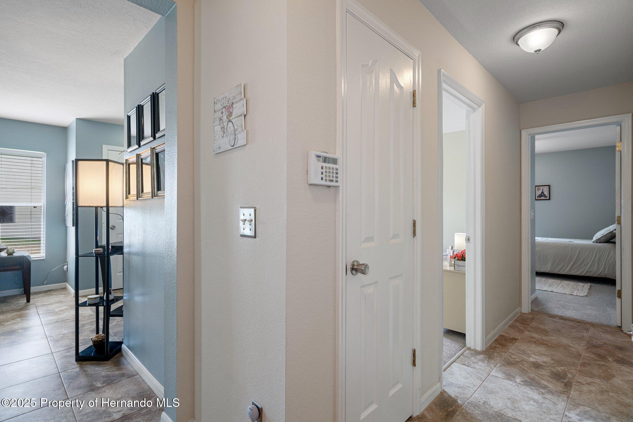 32201 Brookstone Drive, Wesley Chapel, Florida image 33