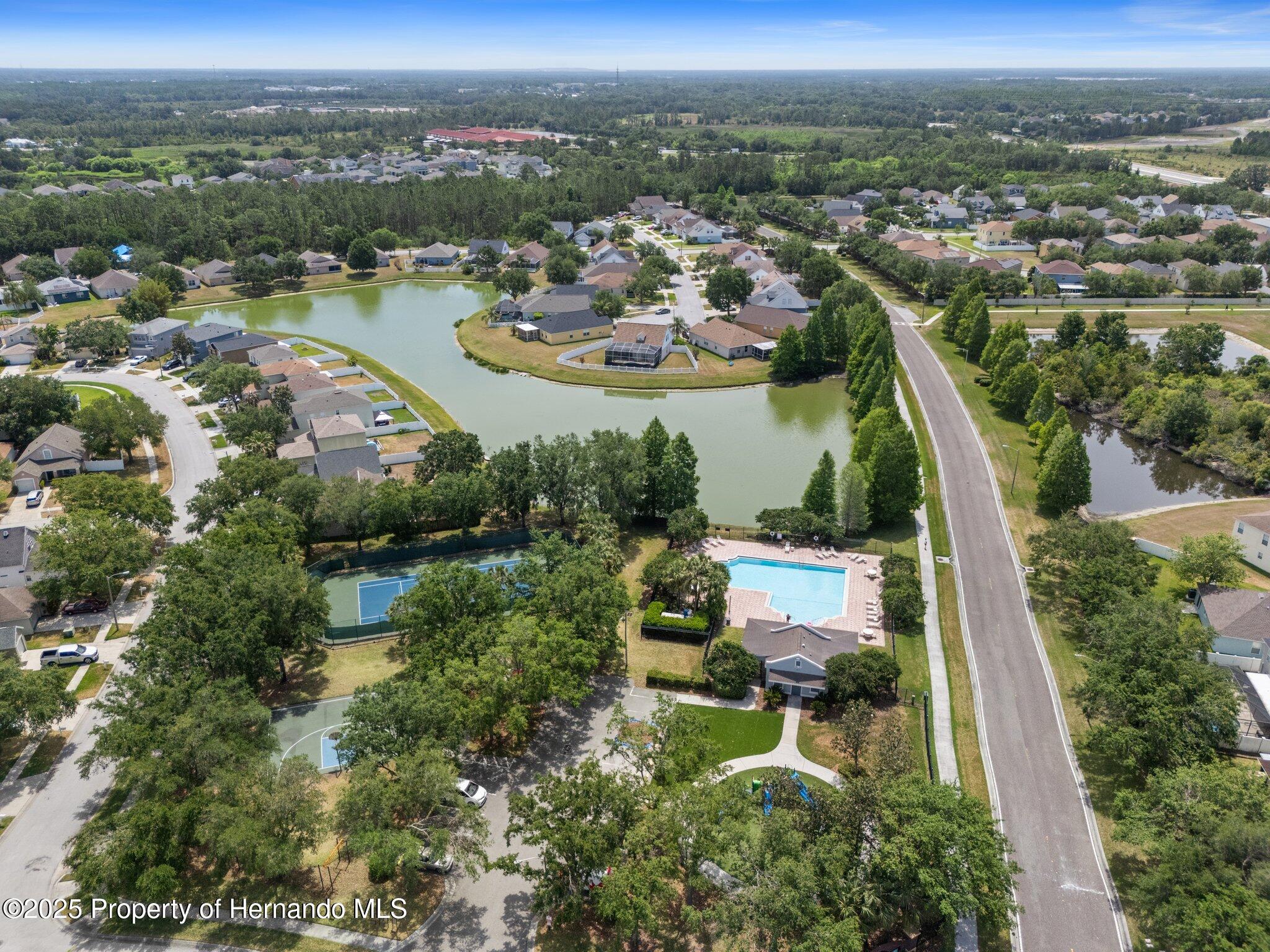 32201 Brookstone Drive, Wesley Chapel, Florida image 41