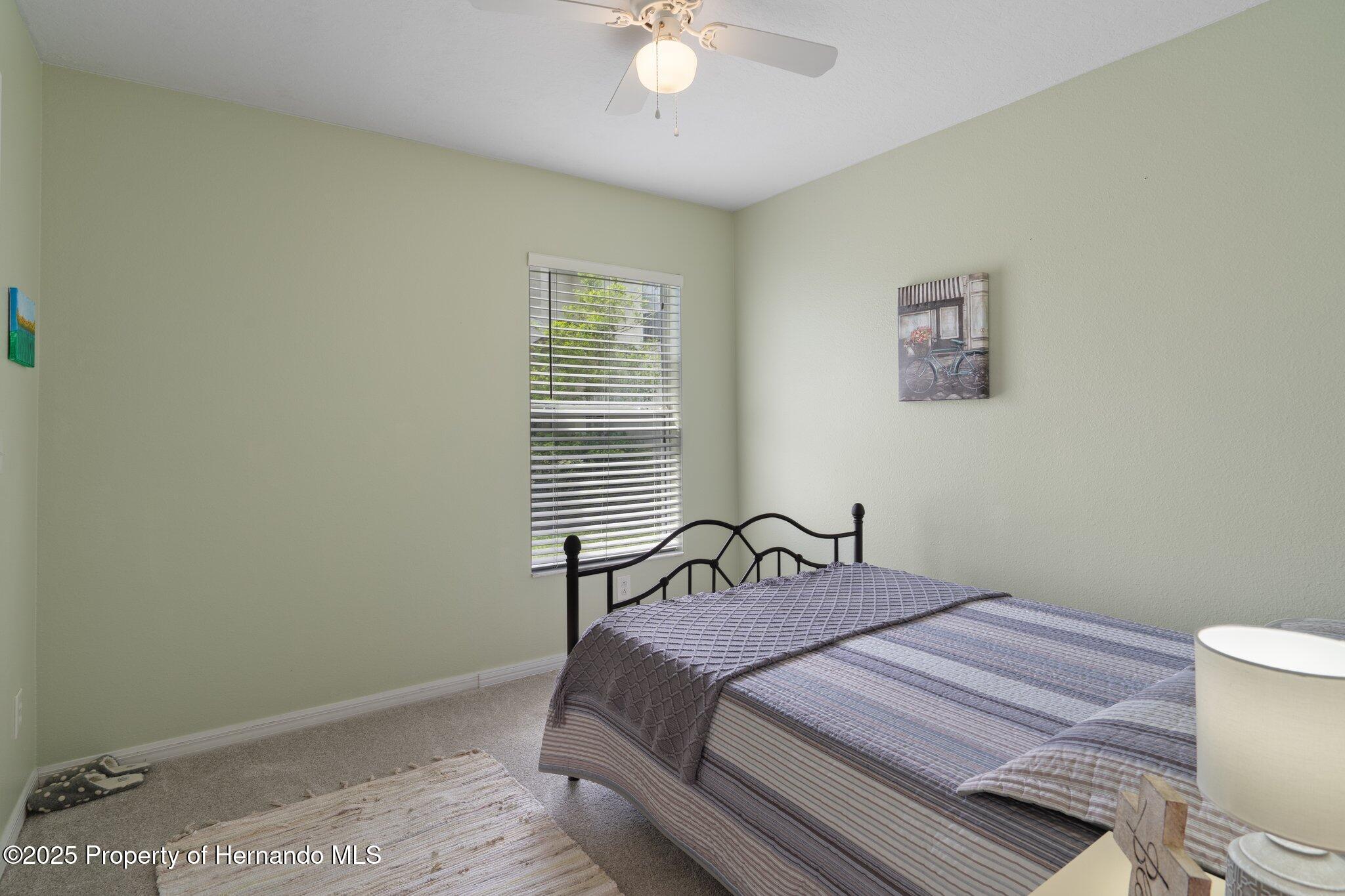 32201 Brookstone Drive, Wesley Chapel, Florida image 31