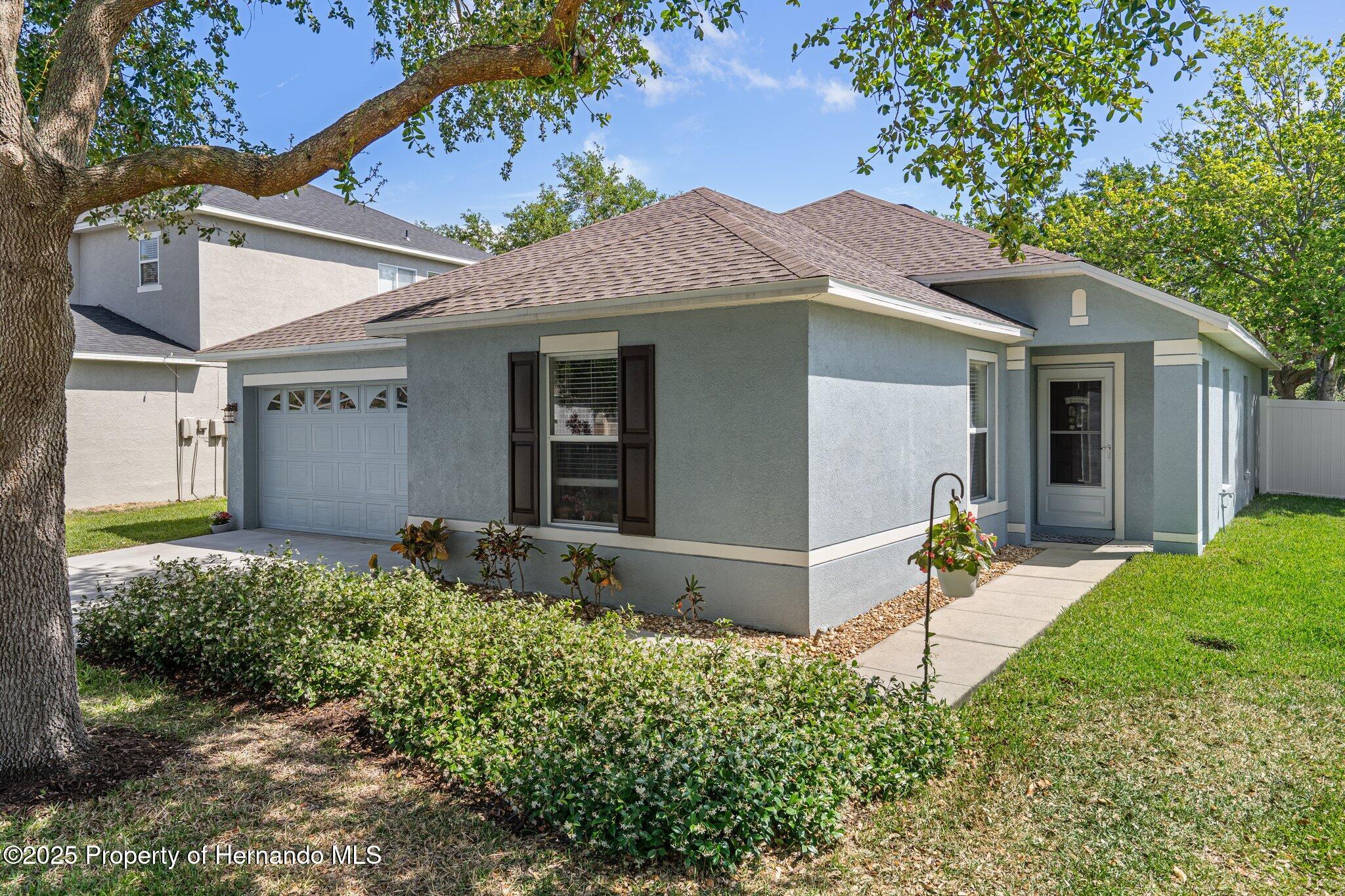 32201 Brookstone Drive, Wesley Chapel, Florida image 5
