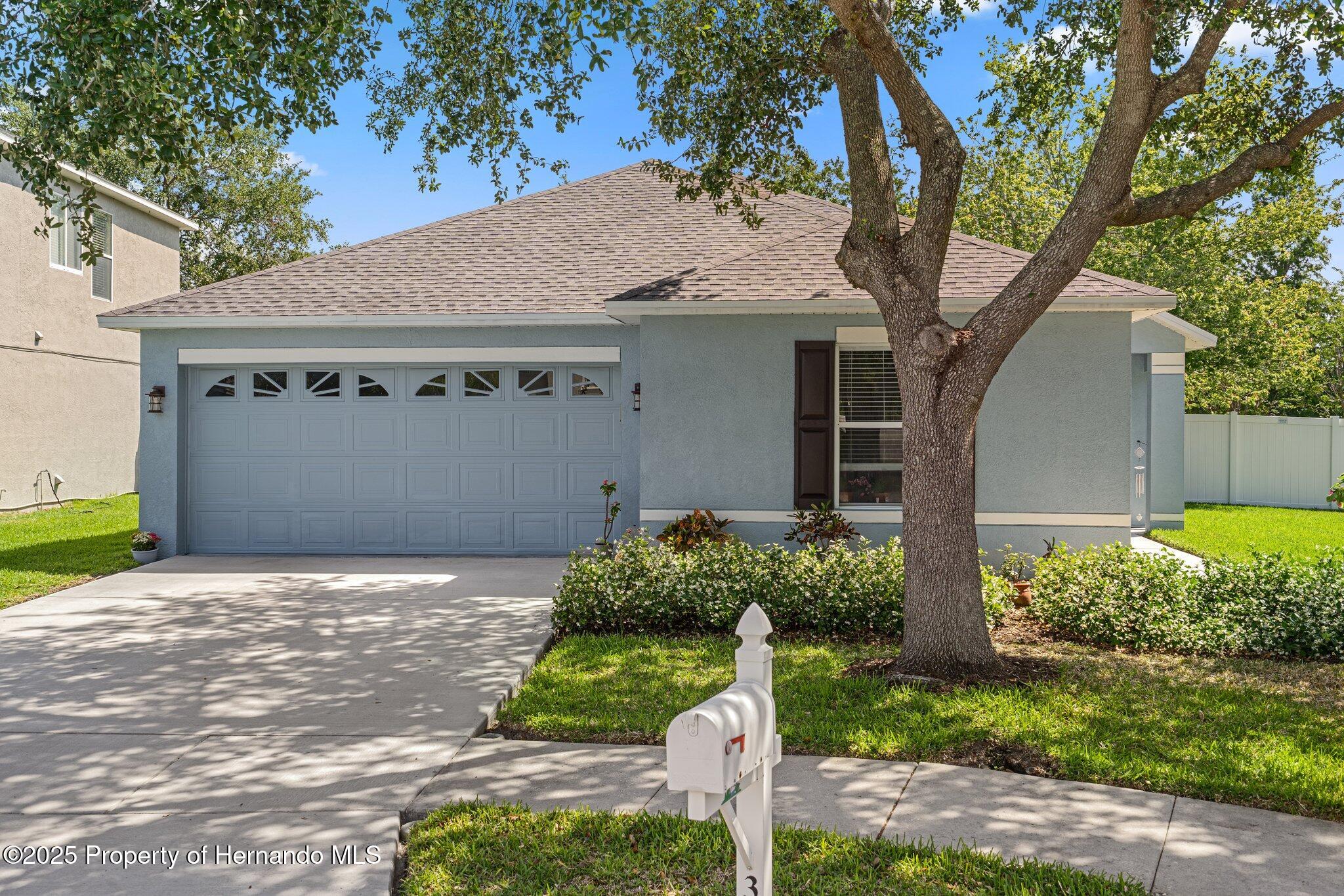 32201 Brookstone Drive, Wesley Chapel, Florida image 3