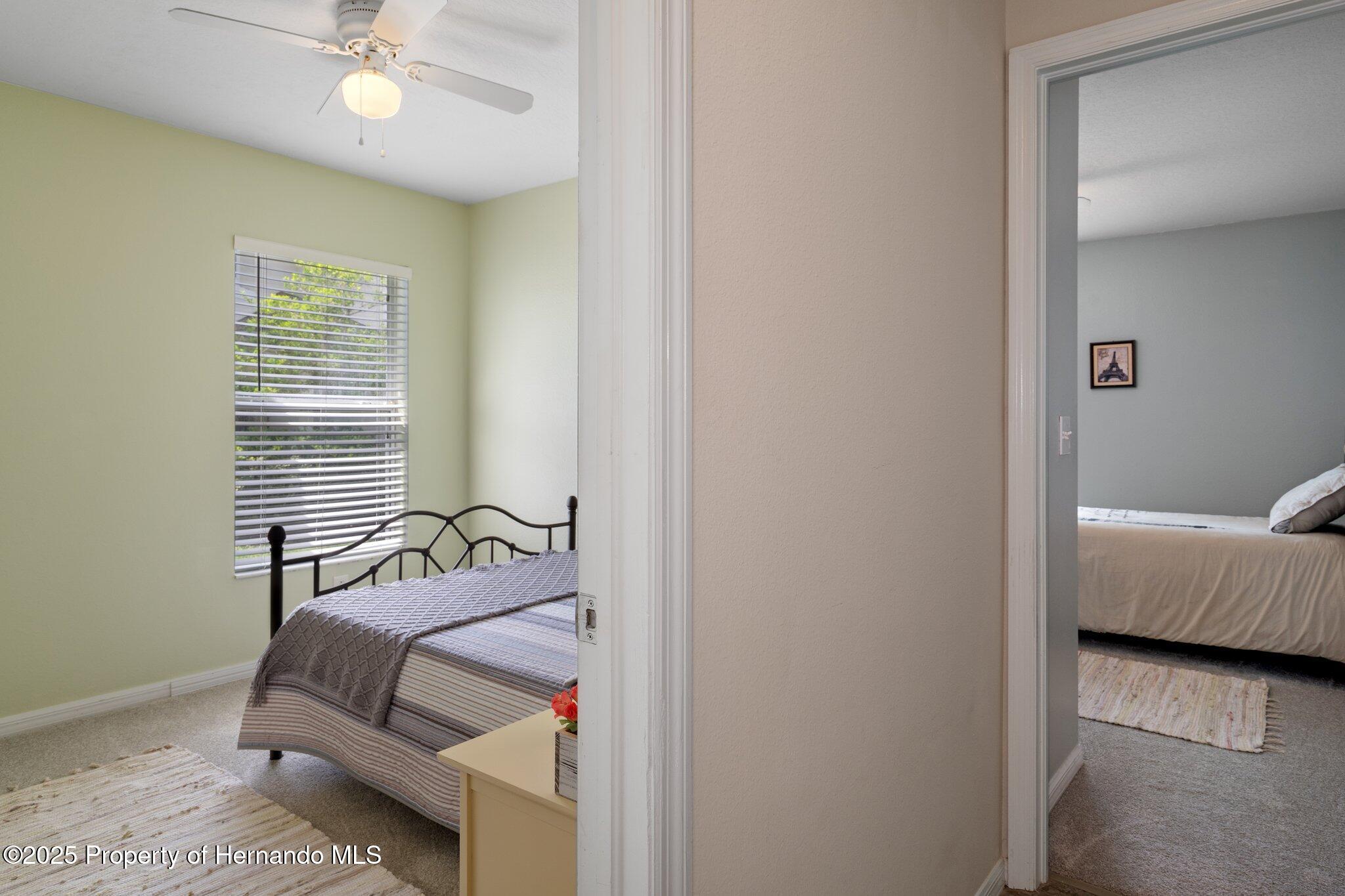 32201 Brookstone Drive, Wesley Chapel, Florida image 25