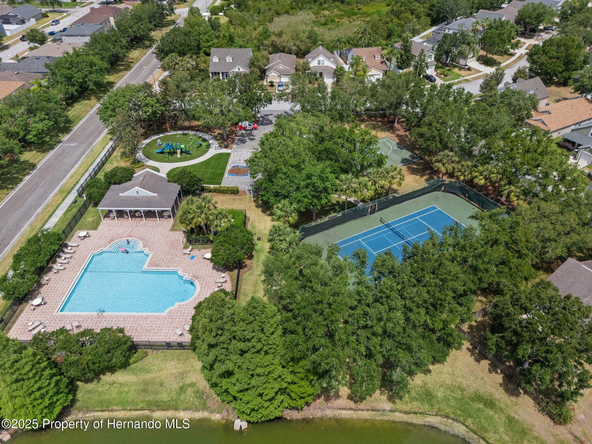 32201 Brookstone Drive, Wesley Chapel, Florida image 38