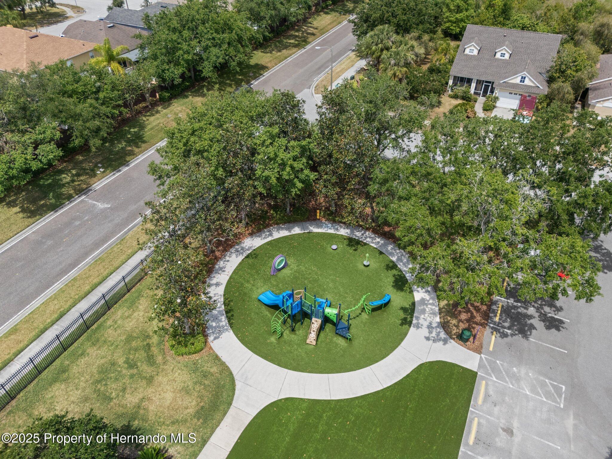 32201 Brookstone Drive, Wesley Chapel, Florida image 42