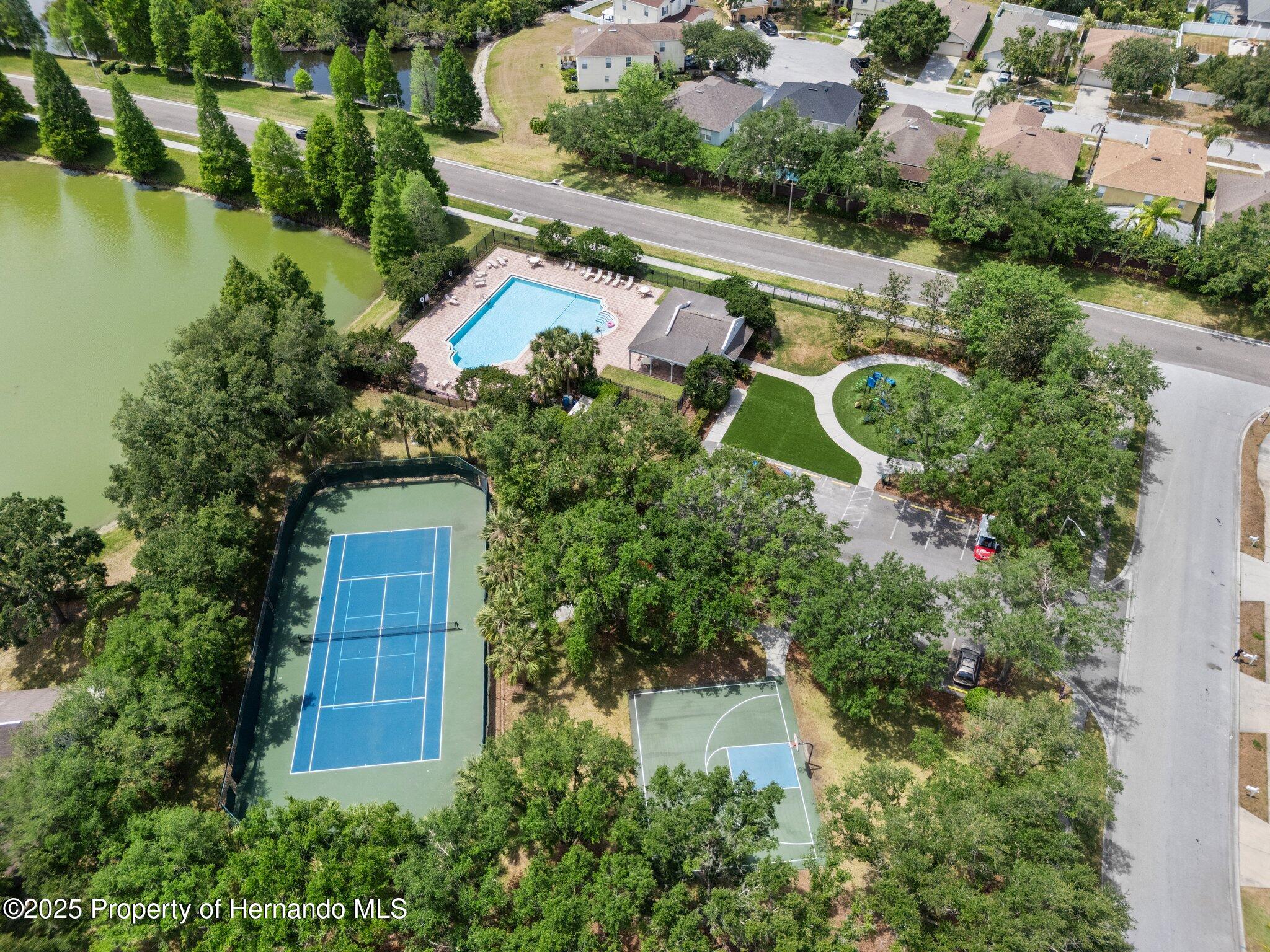 32201 Brookstone Drive, Wesley Chapel, Florida image 40