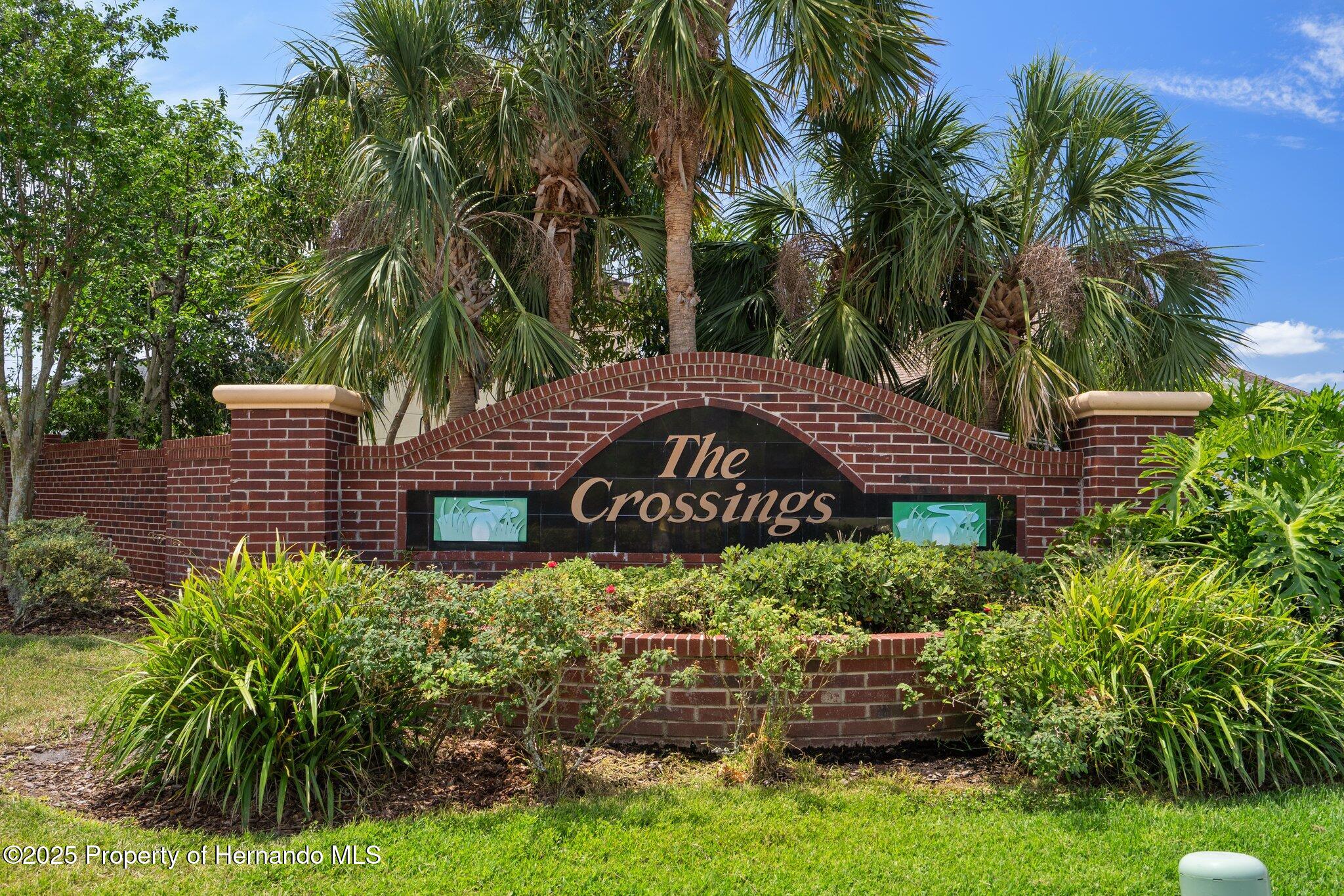 32201 Brookstone Drive, Wesley Chapel, Florida image 45