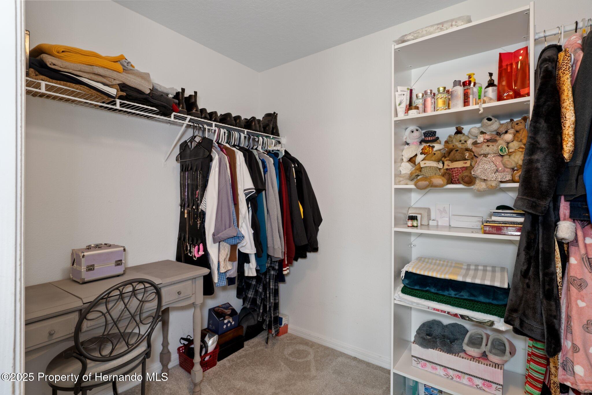 32201 Brookstone Drive, Wesley Chapel, Florida image 22