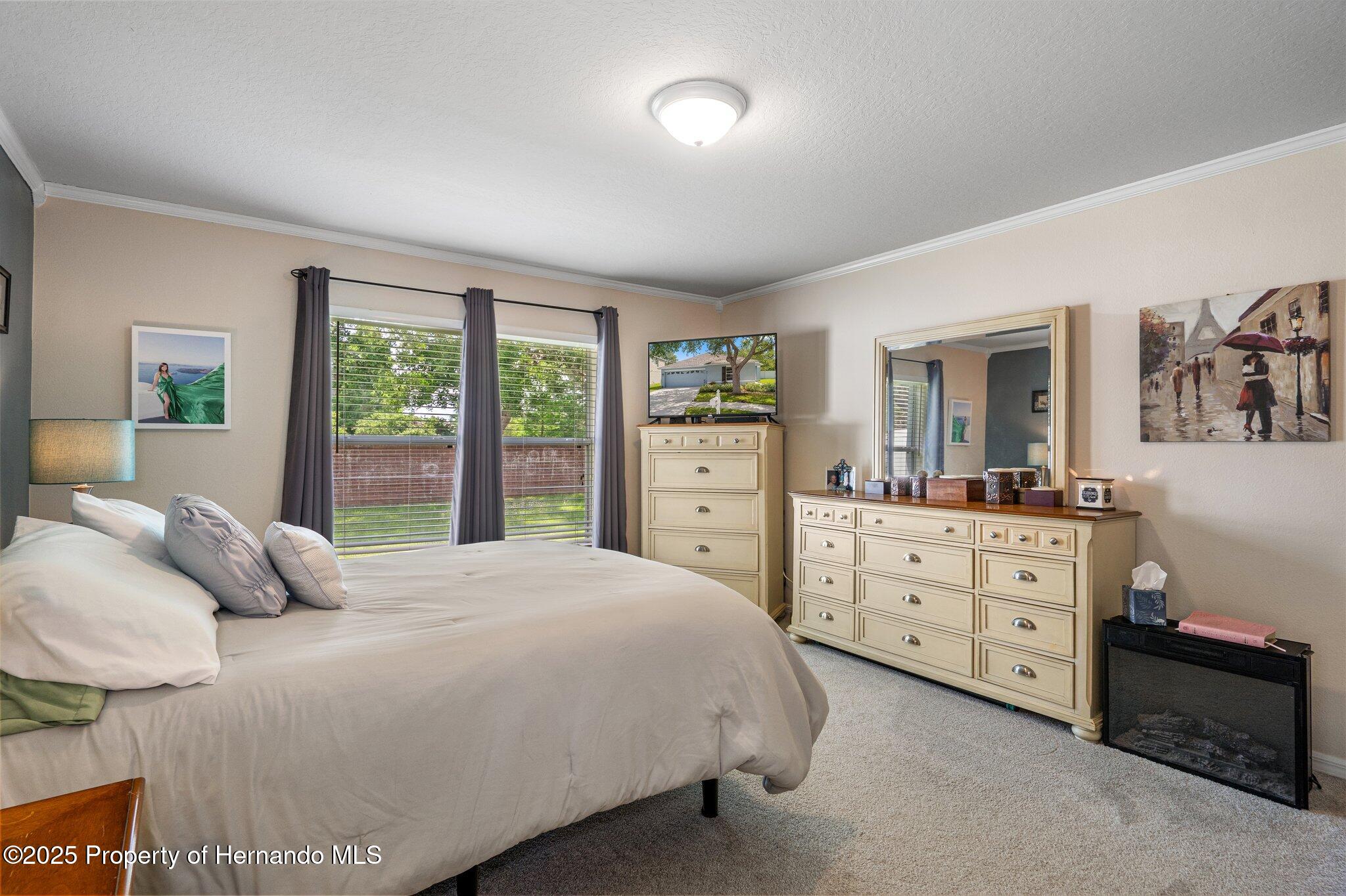 32201 Brookstone Drive, Wesley Chapel, Florida image 20