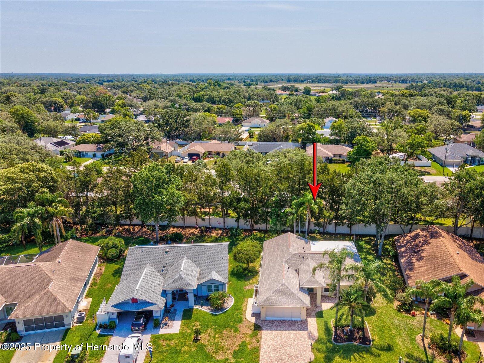 8248 Sugarbush Drive, Spring Hill, Florida image 44