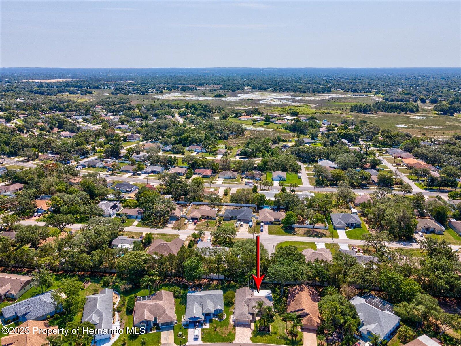 8248 Sugarbush Drive, Spring Hill, Florida image 47