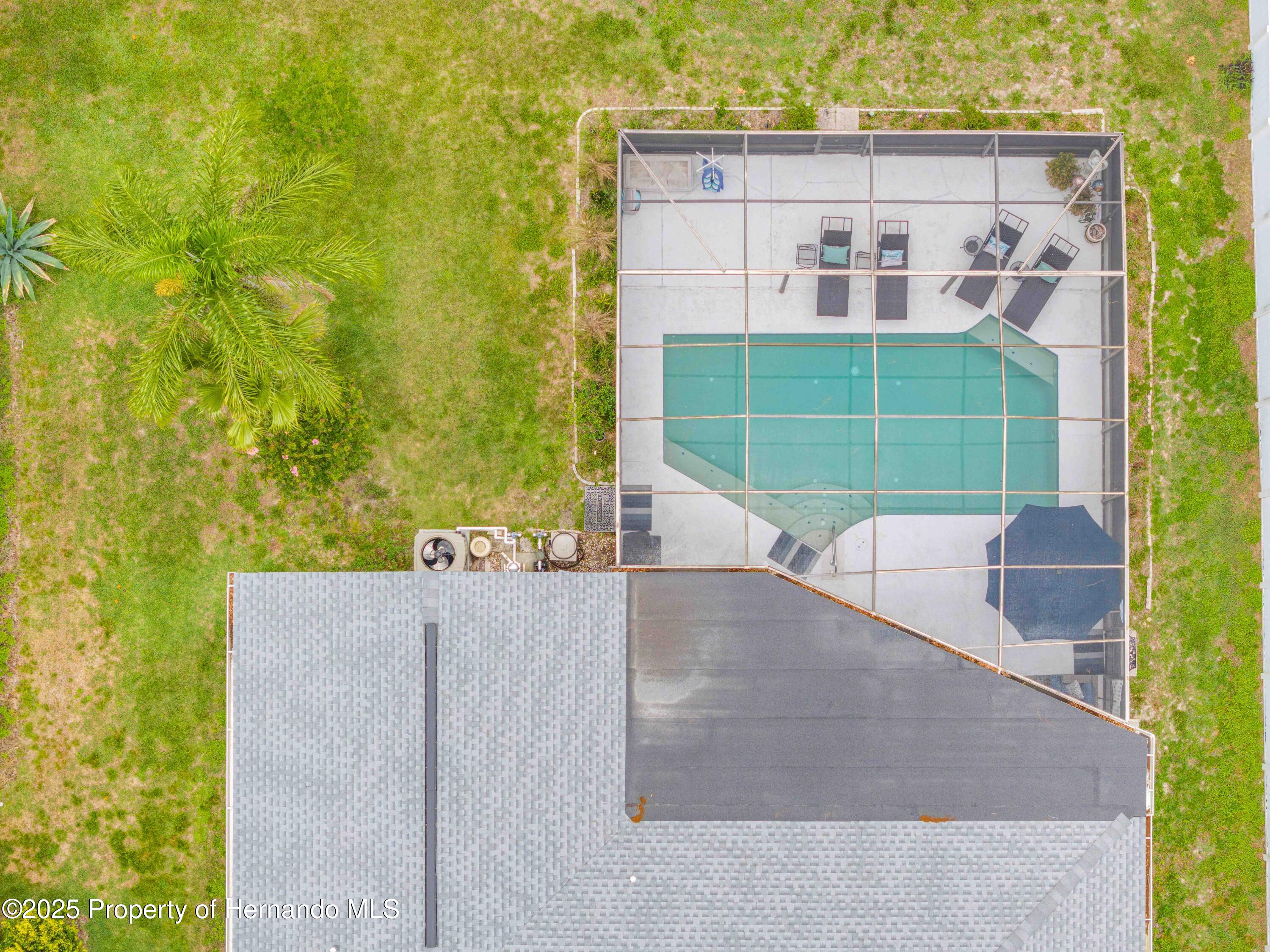 4419 Gaston Street, Spring Hill, Florida image 3