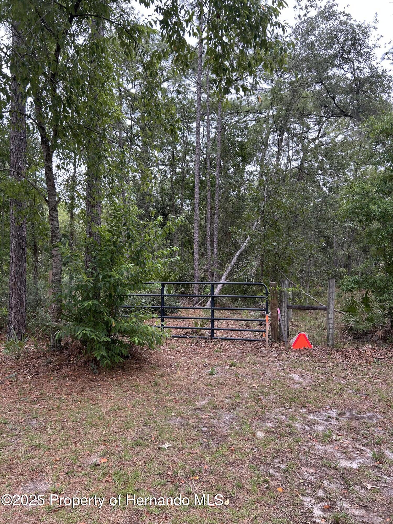 S Slash Pine Avenue, Homosassa, Florida image 4