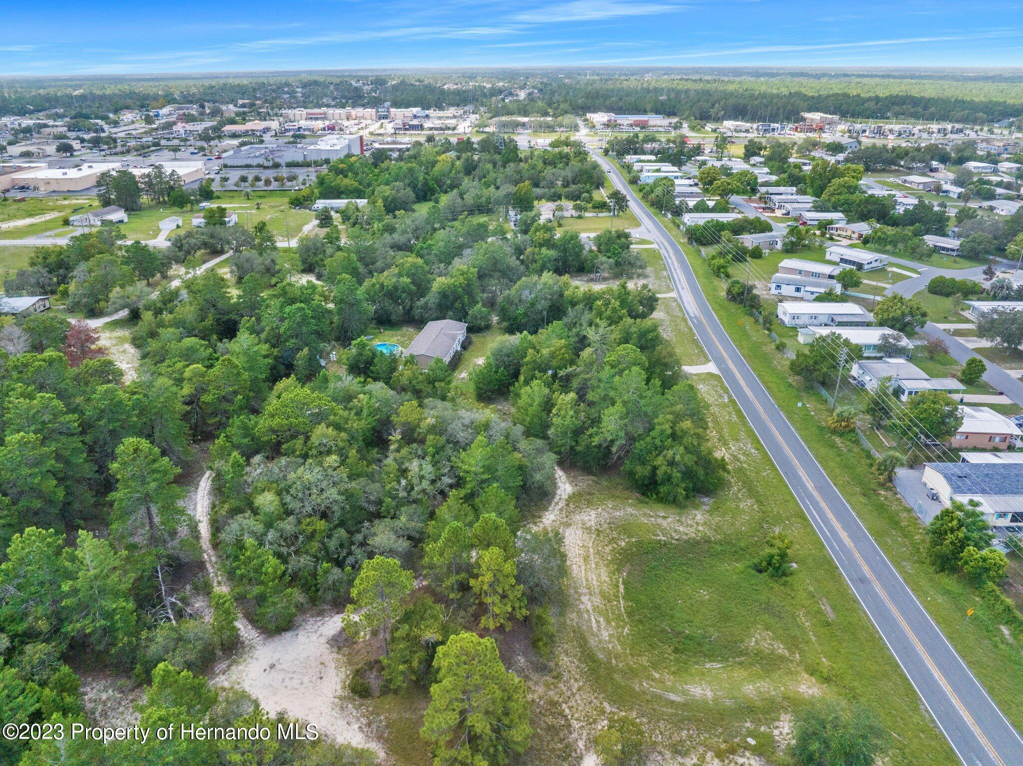 Weeping Willow Street, Brooksville, Florida image 8