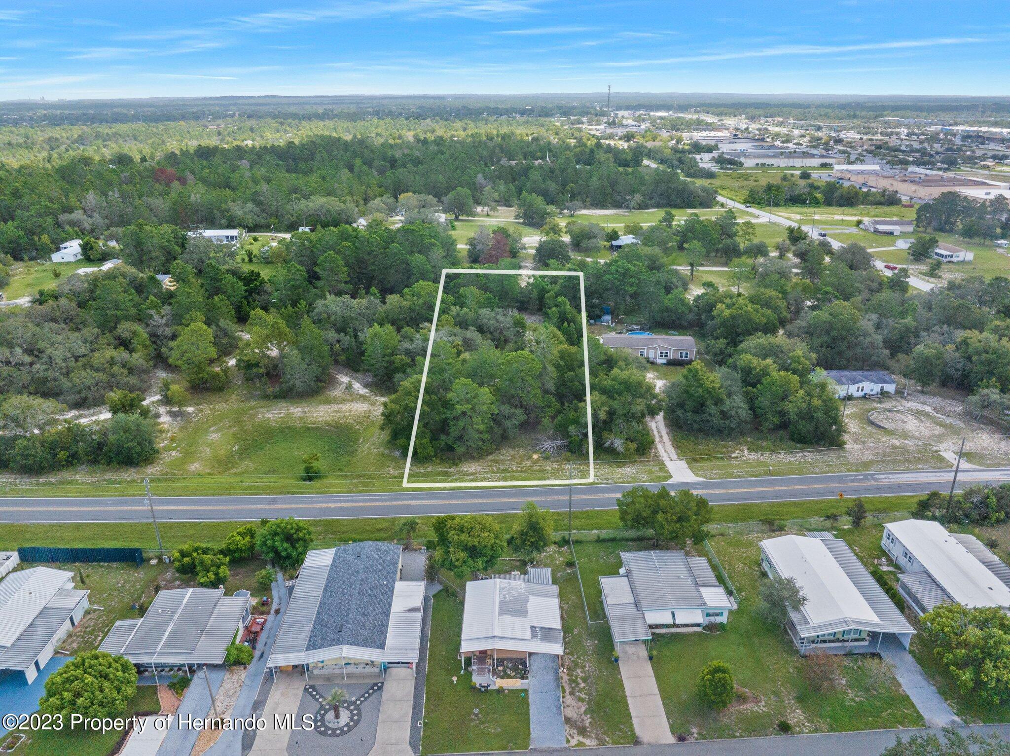 Weeping Willow Street, Brooksville, Florida image 2