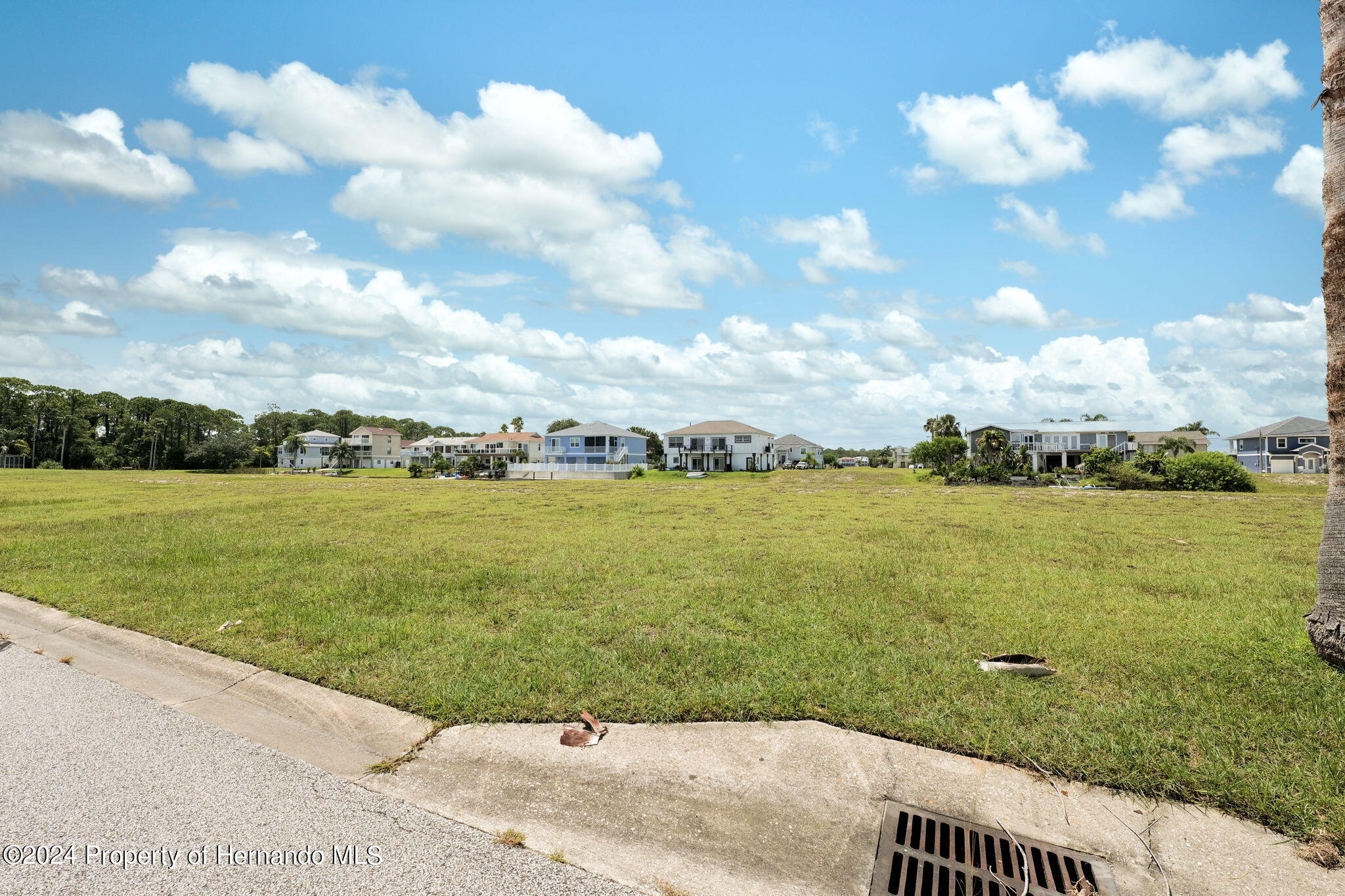 Amberjack Drive, HERNANDO BEACH, Florida image 7