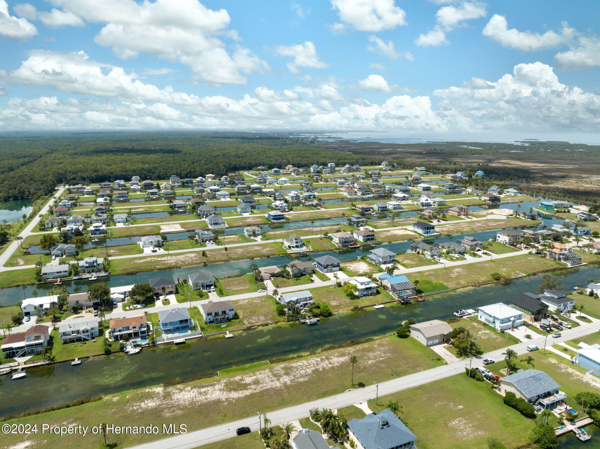 Amberjack Drive, HERNANDO BEACH, Florida image 14