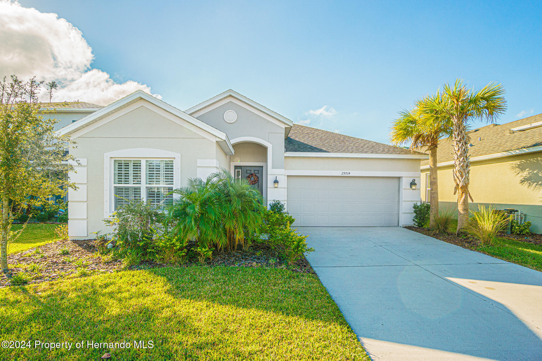 29714 Chapel Chase Drive, Wesley Chapel, Florida image 1