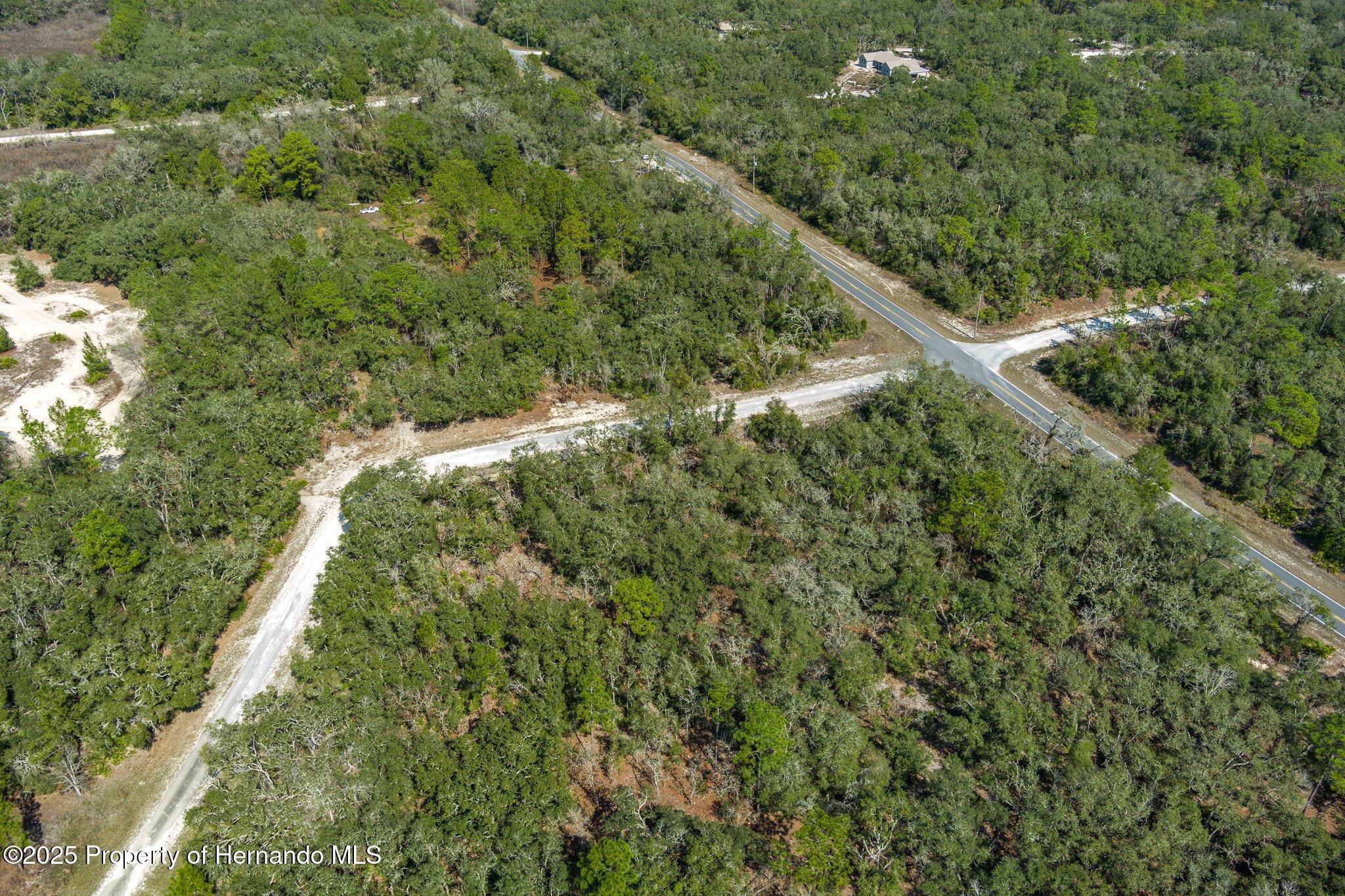 00 Shortstone Drive, Webster, Florida image 13