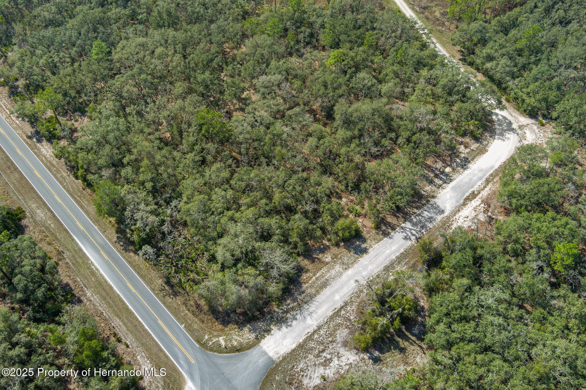 00 Shortstone Drive, Webster, Florida image 4