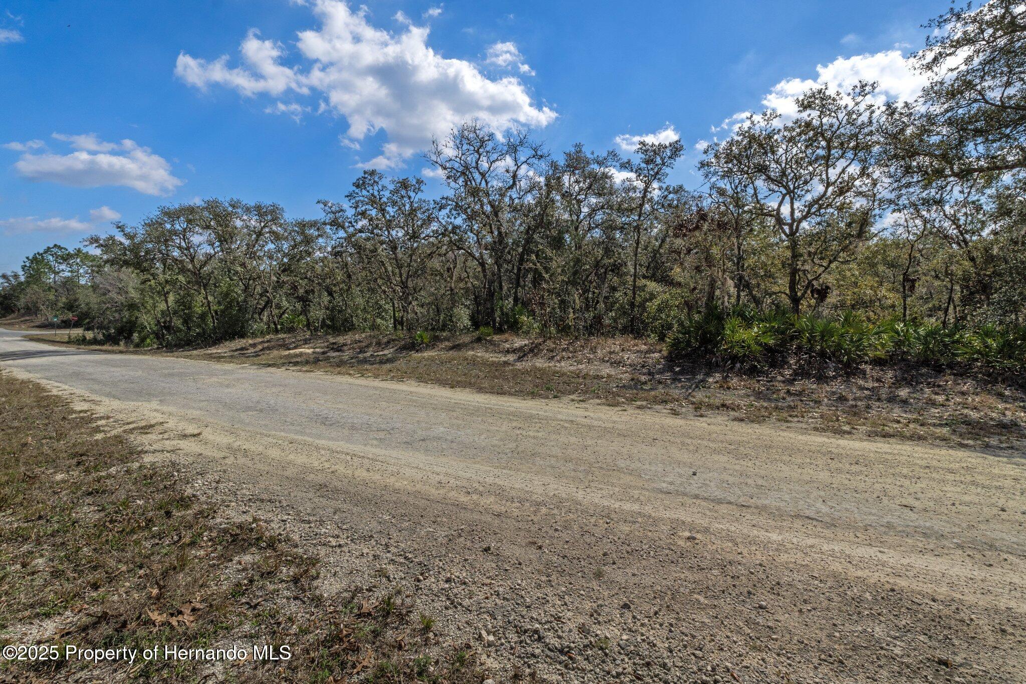 00 Shortstone Drive, Webster, Florida image 7