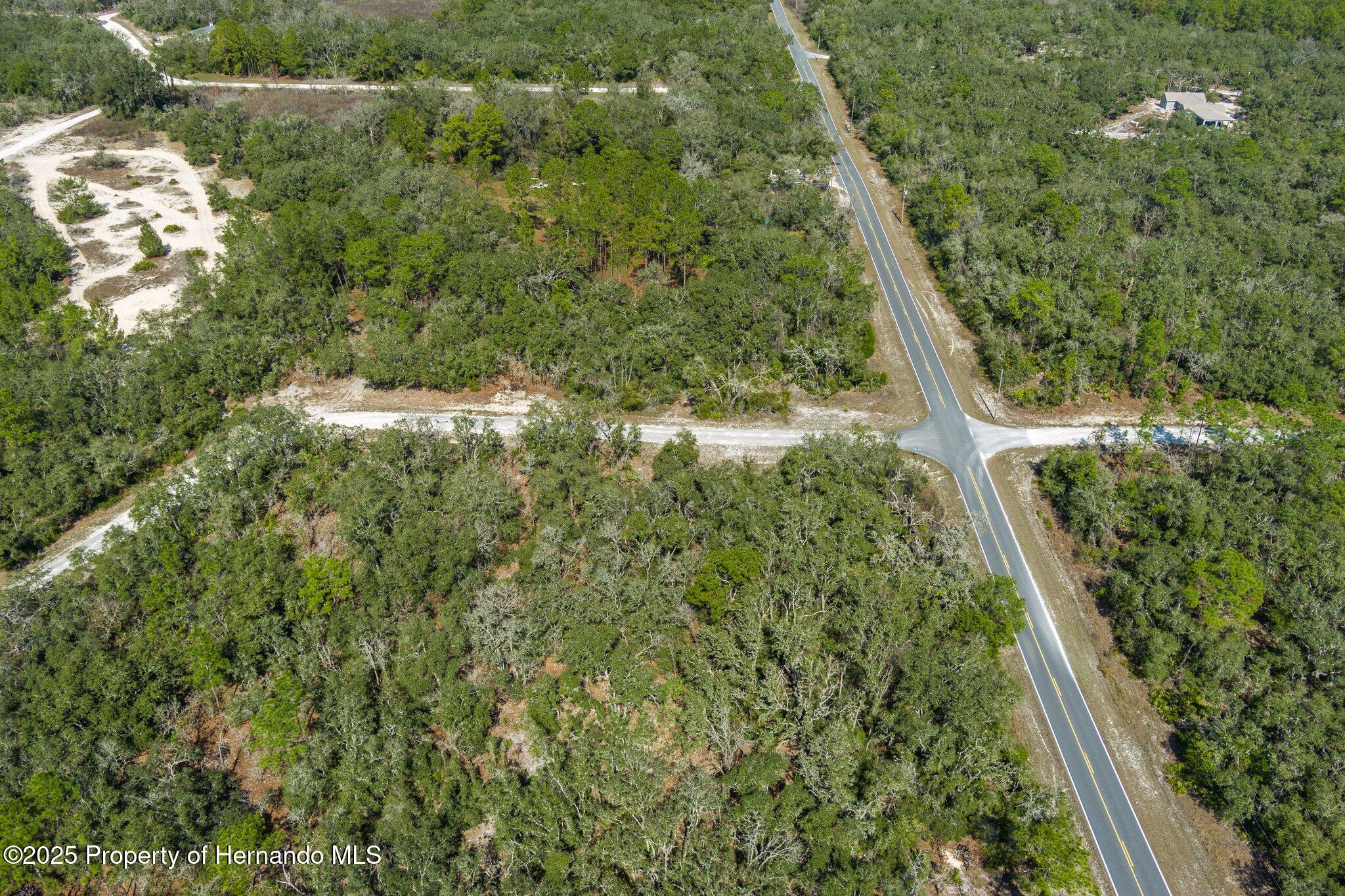 00 Shortstone Drive, Webster, Florida image 12