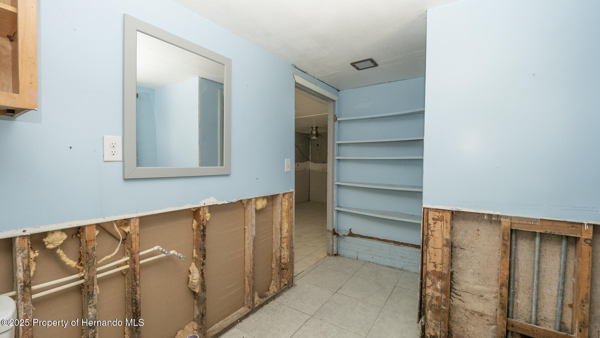 6234 Cyril Drive, Dade City, Florida image 37