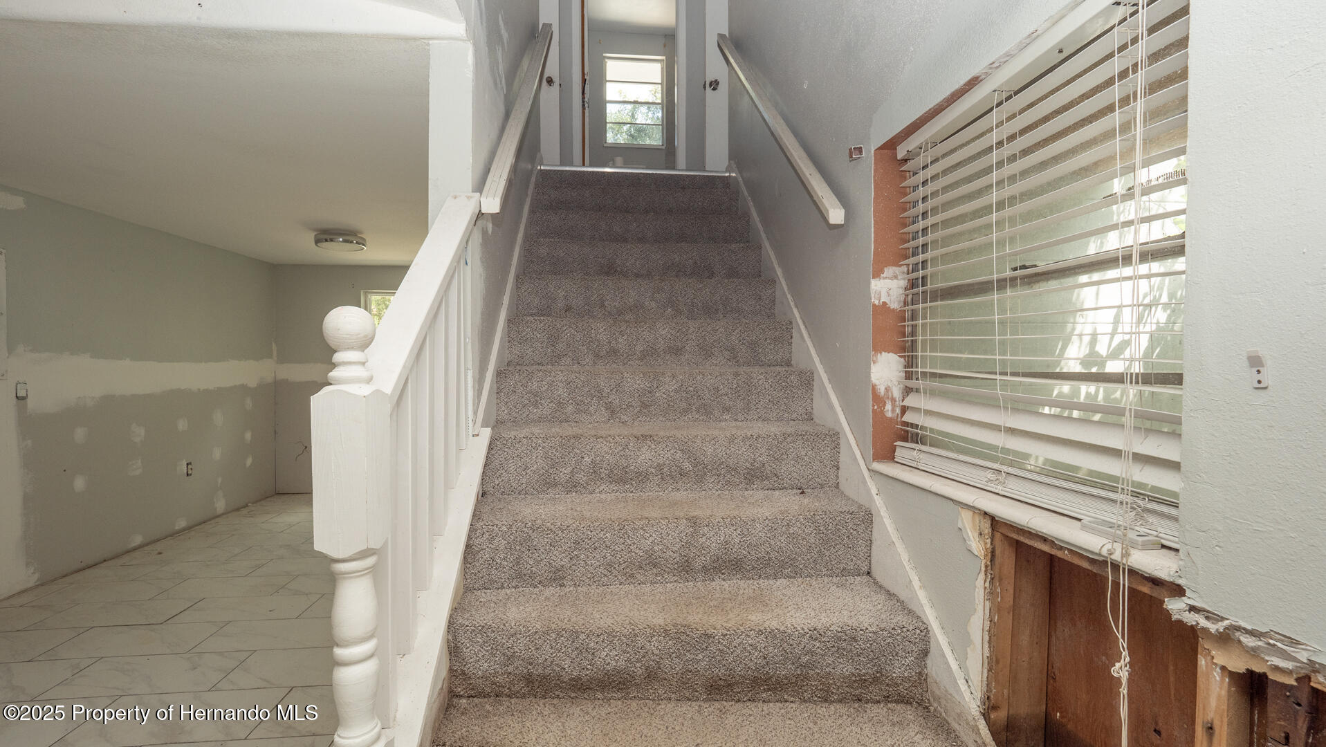 6234 Cyril Drive, Dade City, Florida image 20