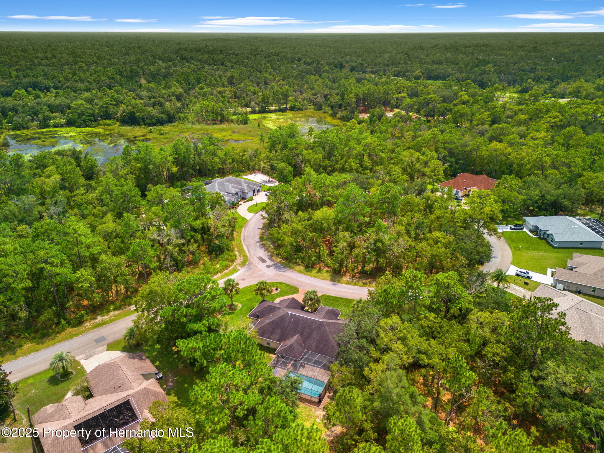 10 Cyclamen Court, Homosassa, Florida image 40