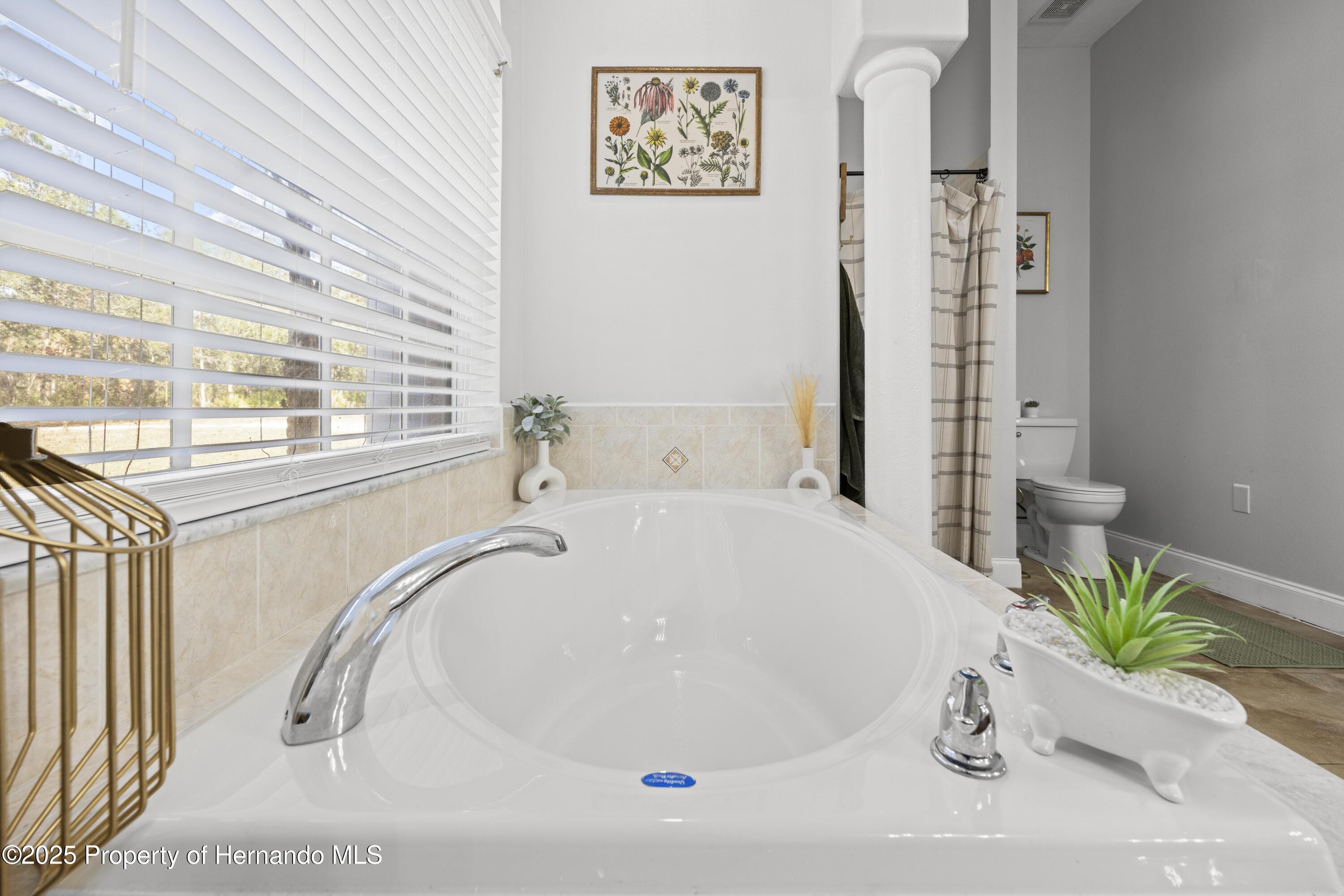 16356 Marquis Road, Brooksville, Florida image 30