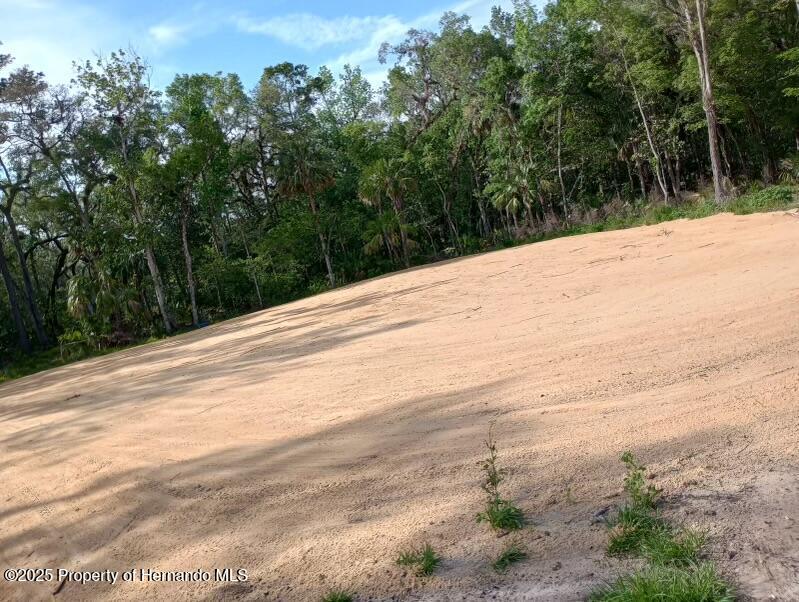 Republican (lot 5) Way, Brooksville, Florida image 2