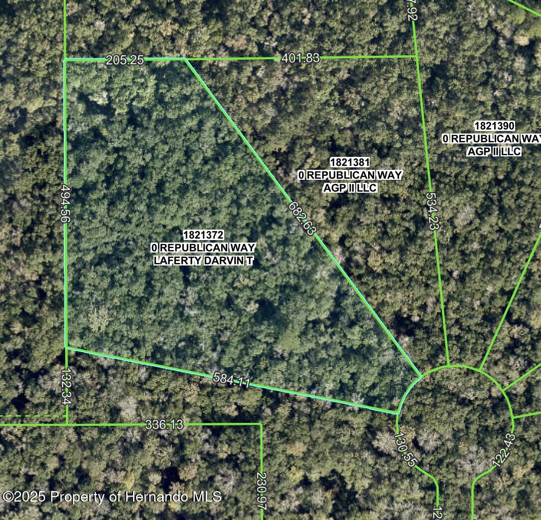Republican (lot 5) Way, Brooksville, Florida image 4