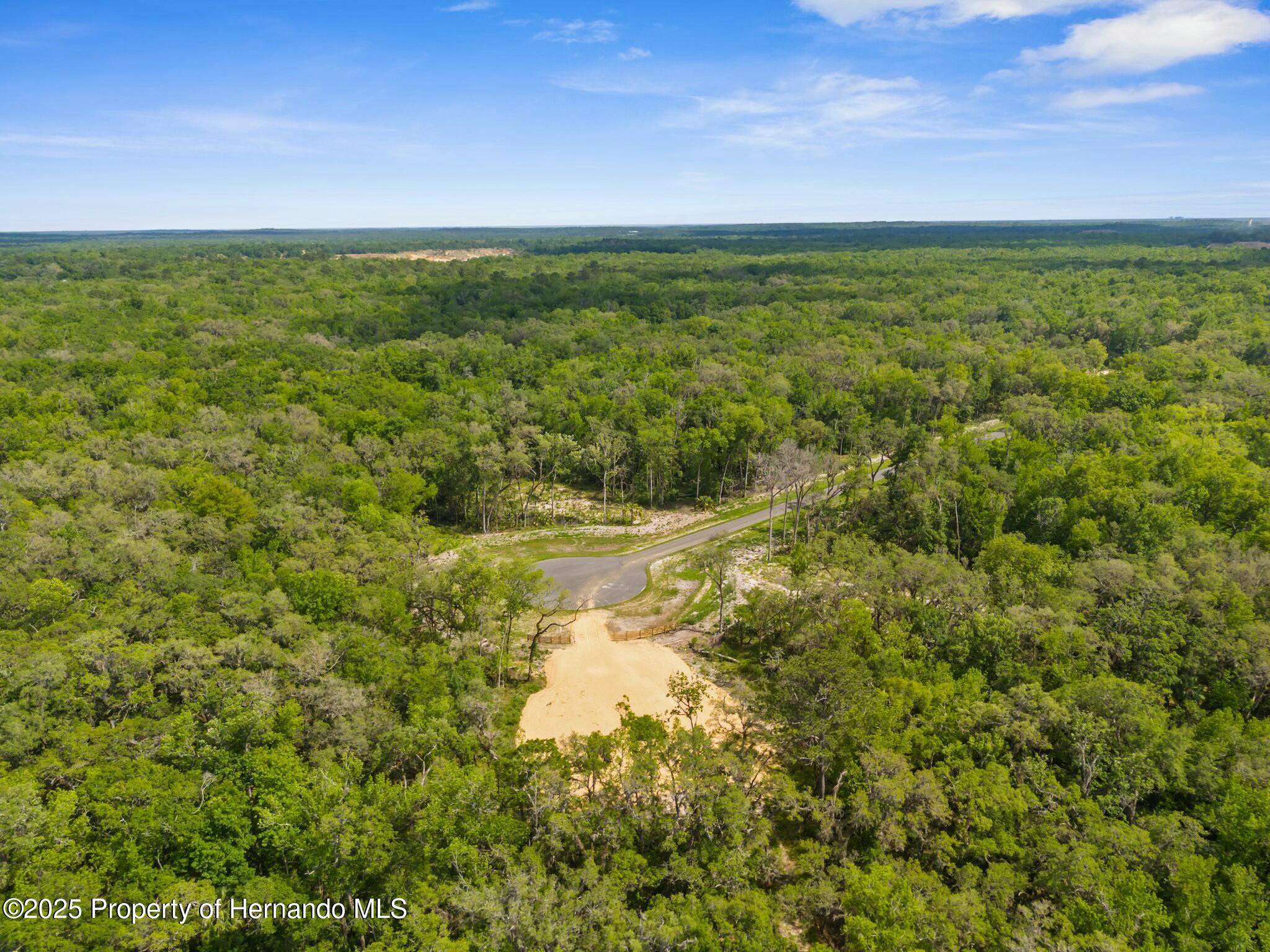 Republican (lot 5) Way, Brooksville, Florida image 15