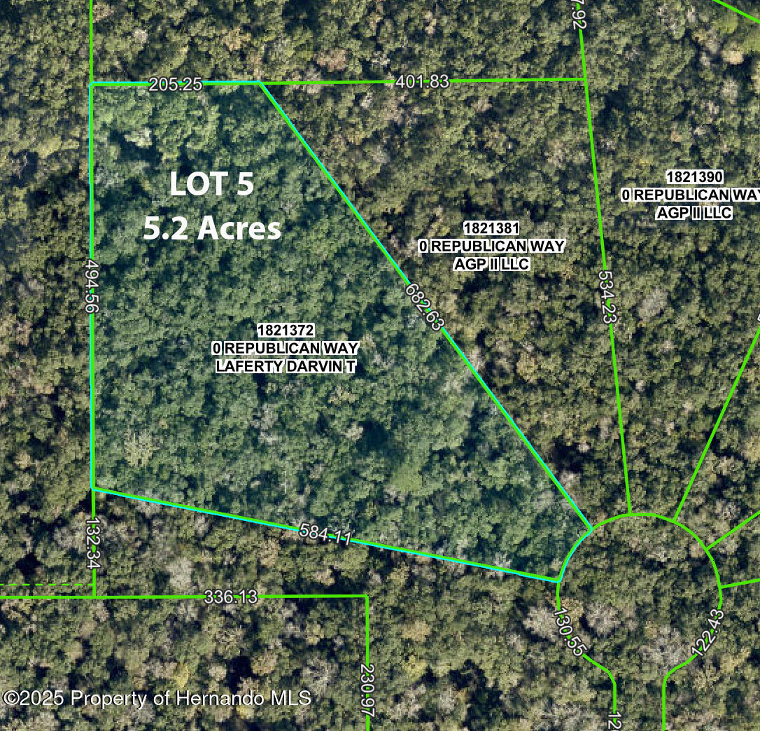 Republican (lot 5) Way, Brooksville, Florida image 1