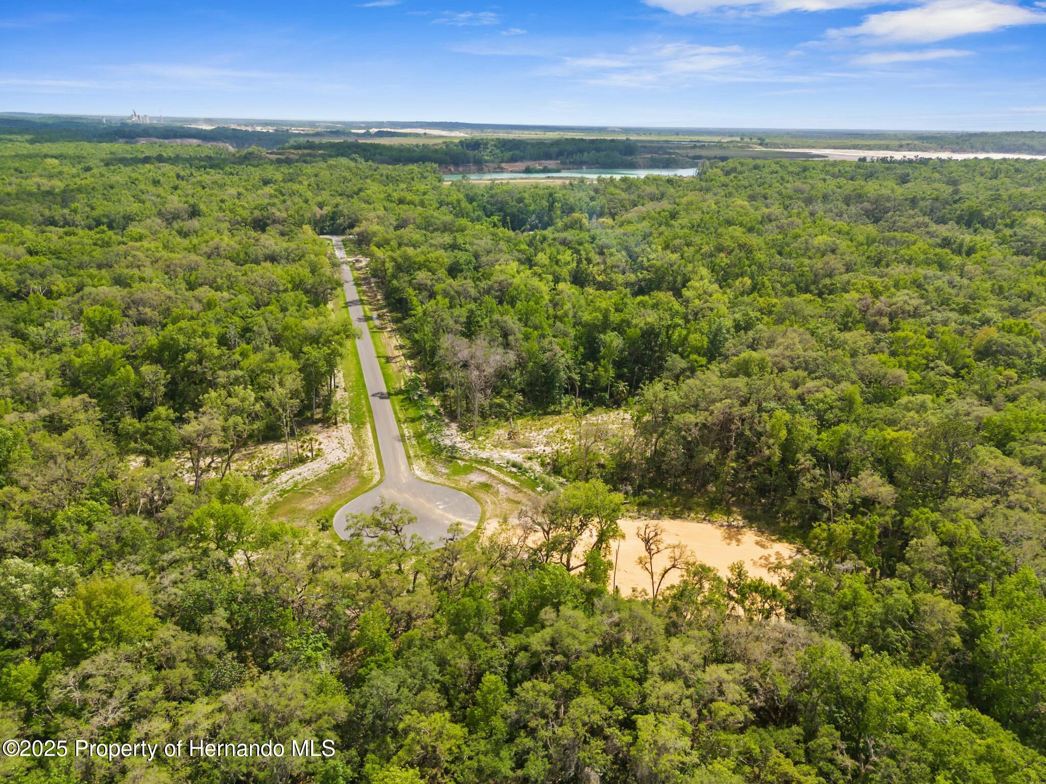 Republican (lot 5) Way, Brooksville, Florida image 17