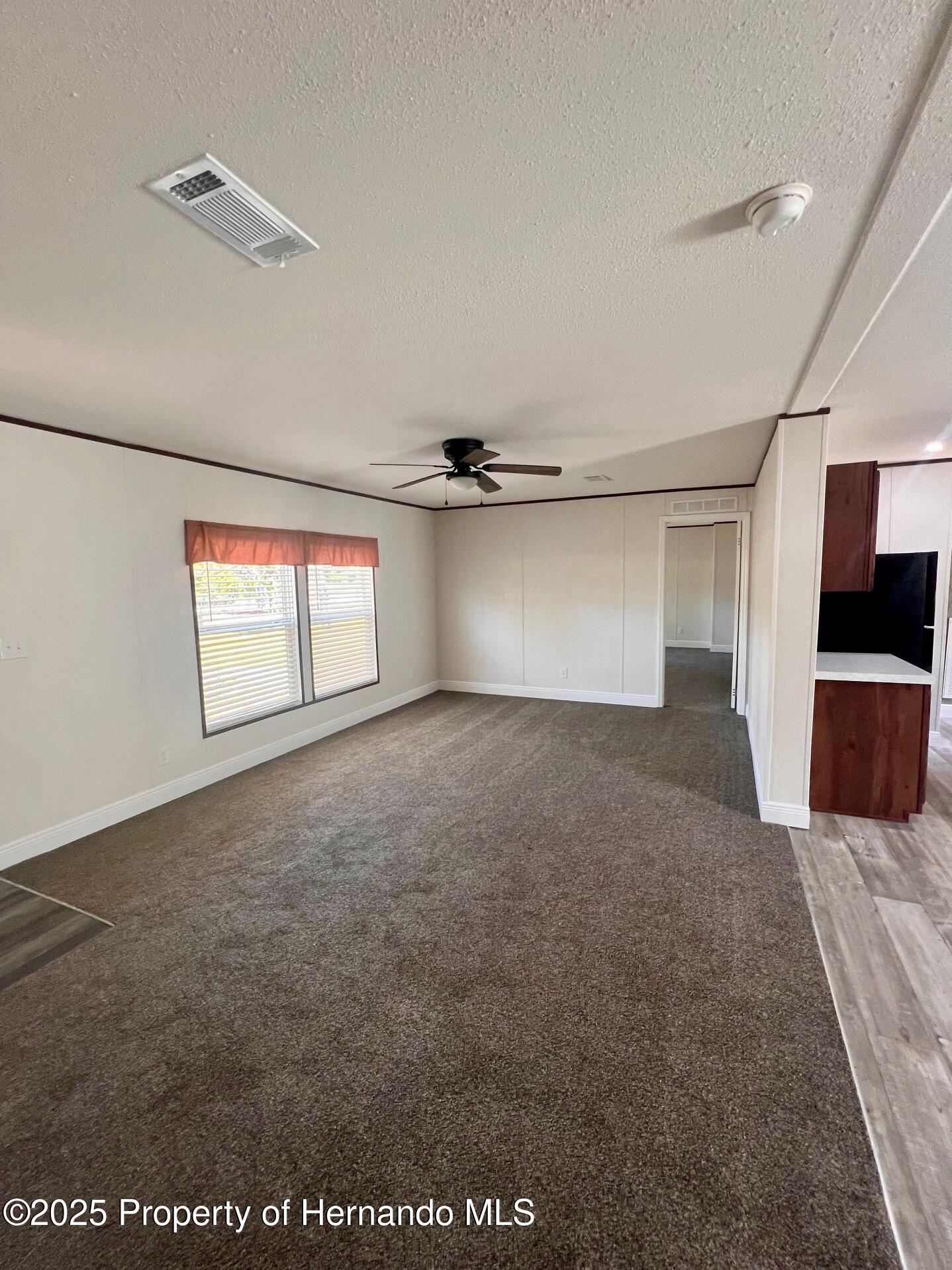 11008 Knuckey Road, Weeki Wachee, Florida image 6