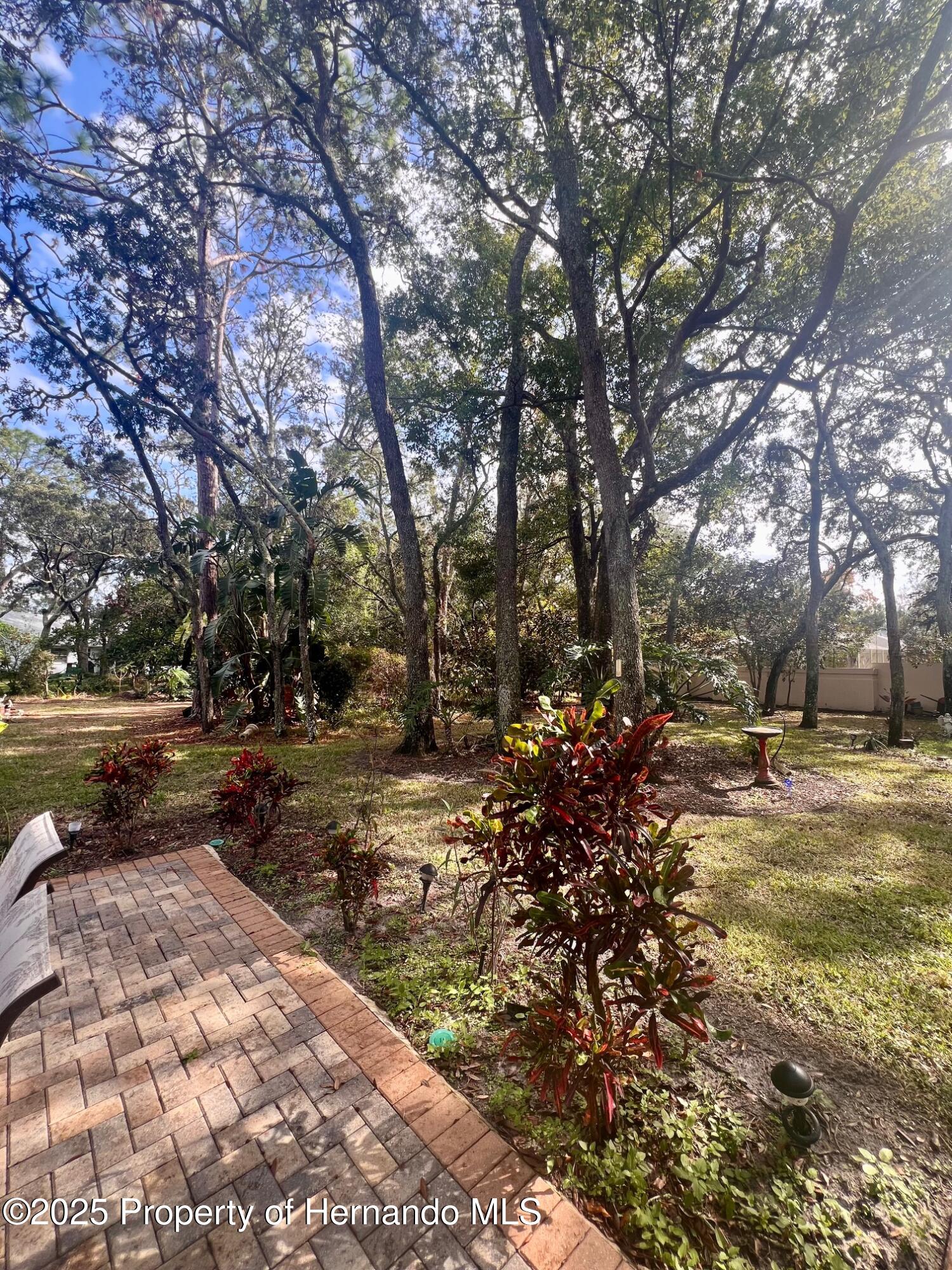 11008 Knuckey Road, Weeki Wachee, Florida image 35