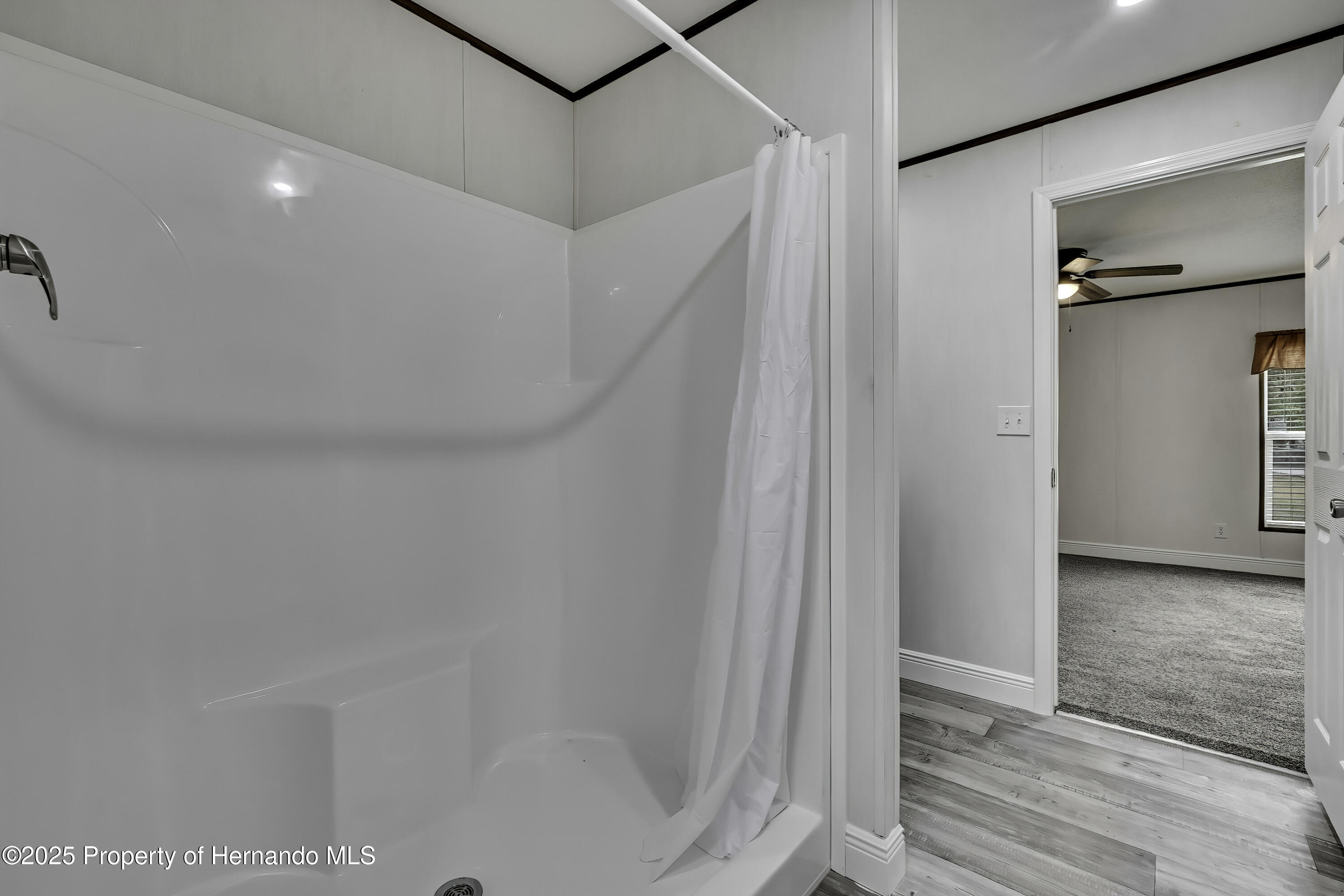 11008 Knuckey Road, Weeki Wachee, Florida image 23