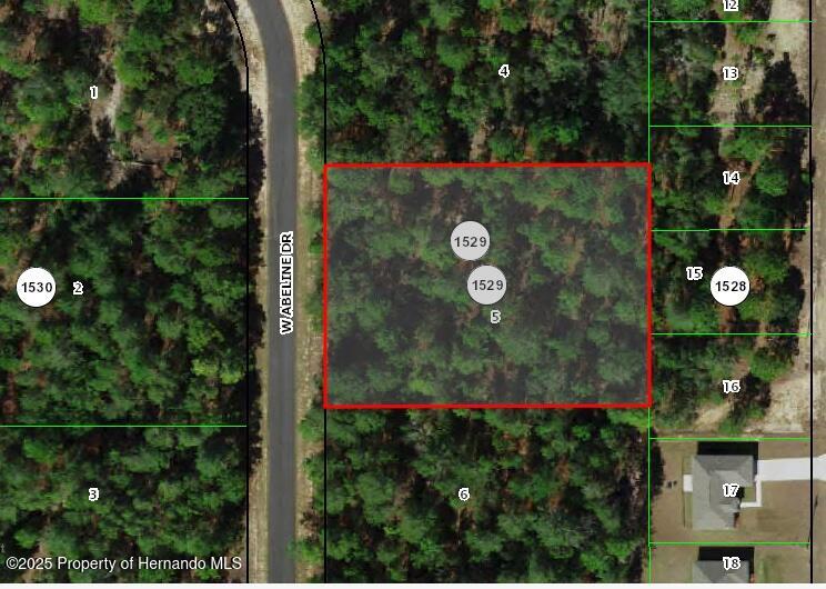 4057 W Abeline Drive, Citrus Springs, Florida image 1