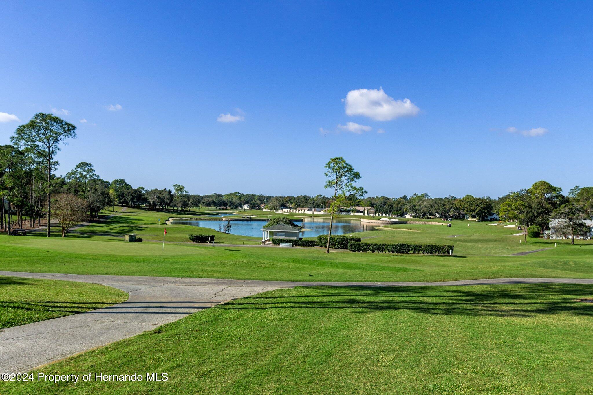 3160 Whispering Pines Court, Spring Hill, Florida image 41