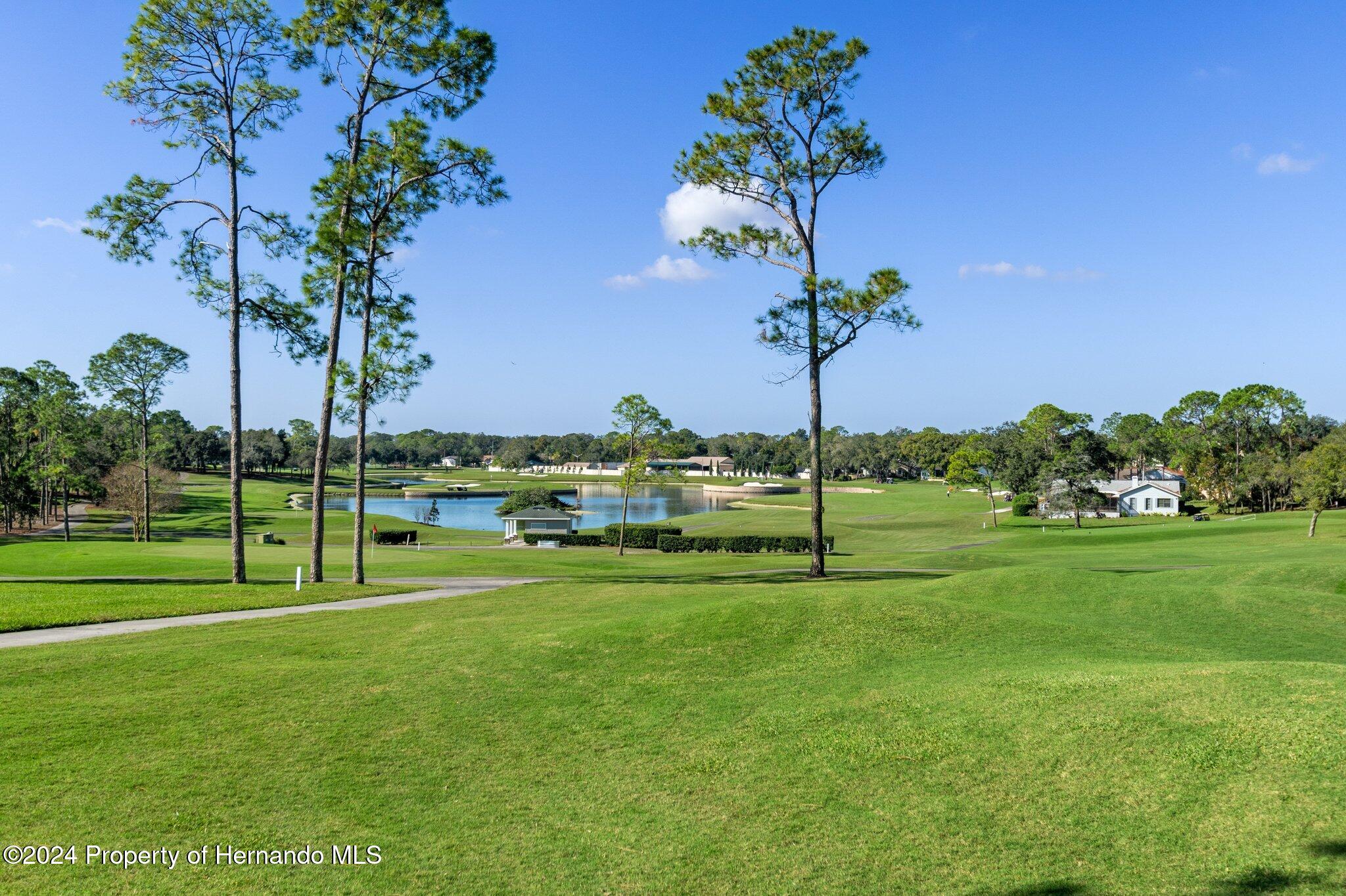 3160 Whispering Pines Court, Spring Hill, Florida image 40