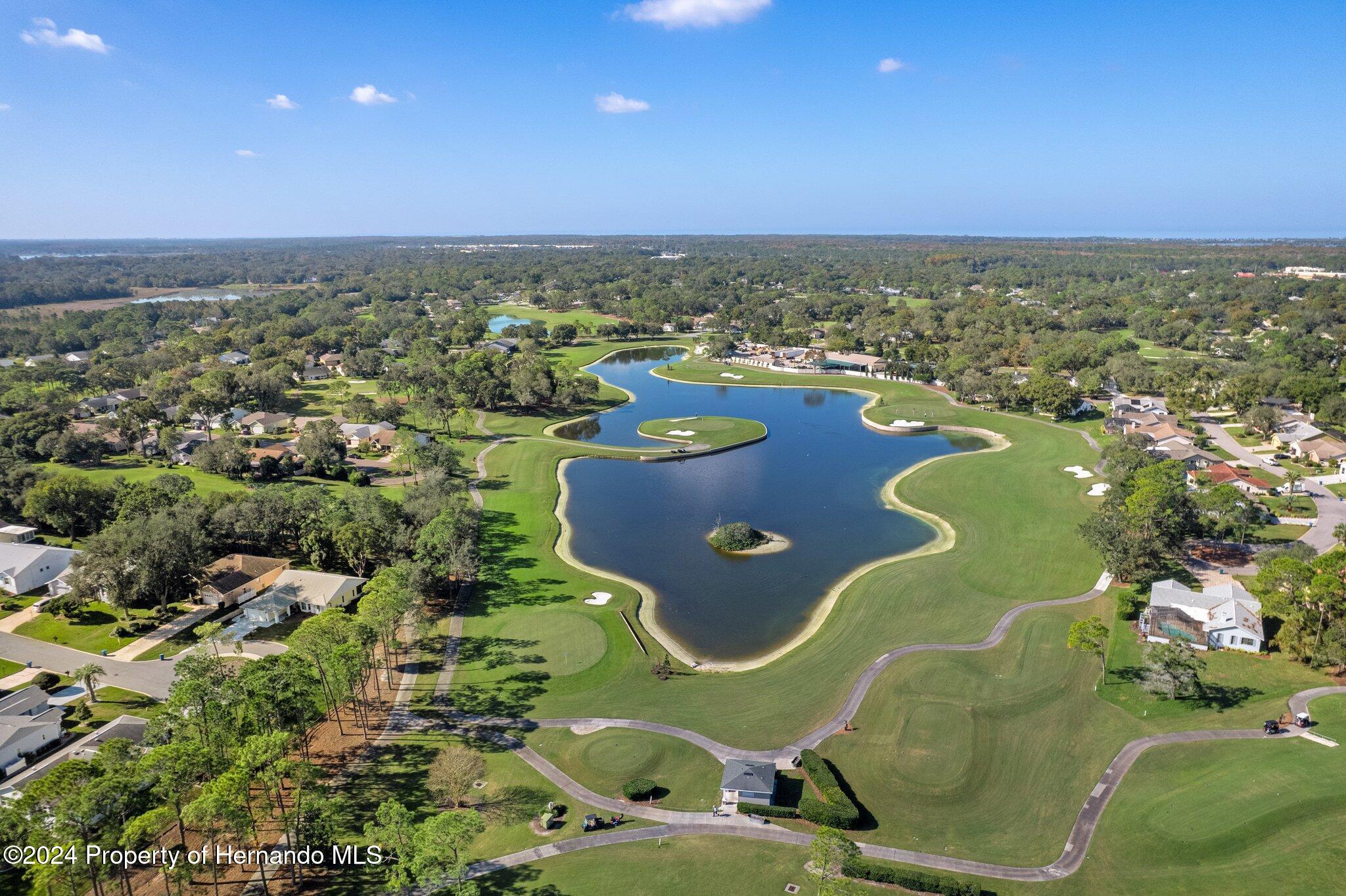 3160 Whispering Pines Court, Spring Hill, Florida image 43