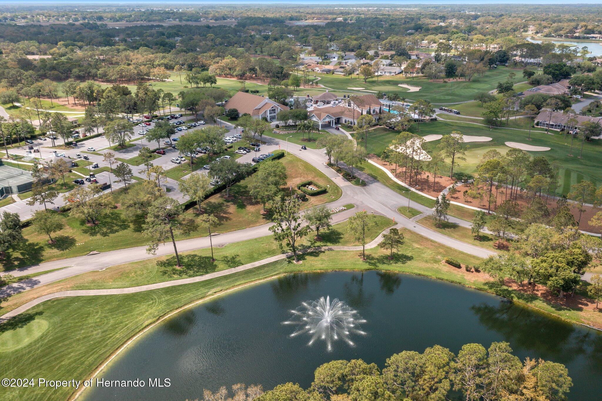 3160 Whispering Pines Court, Spring Hill, Florida image 46