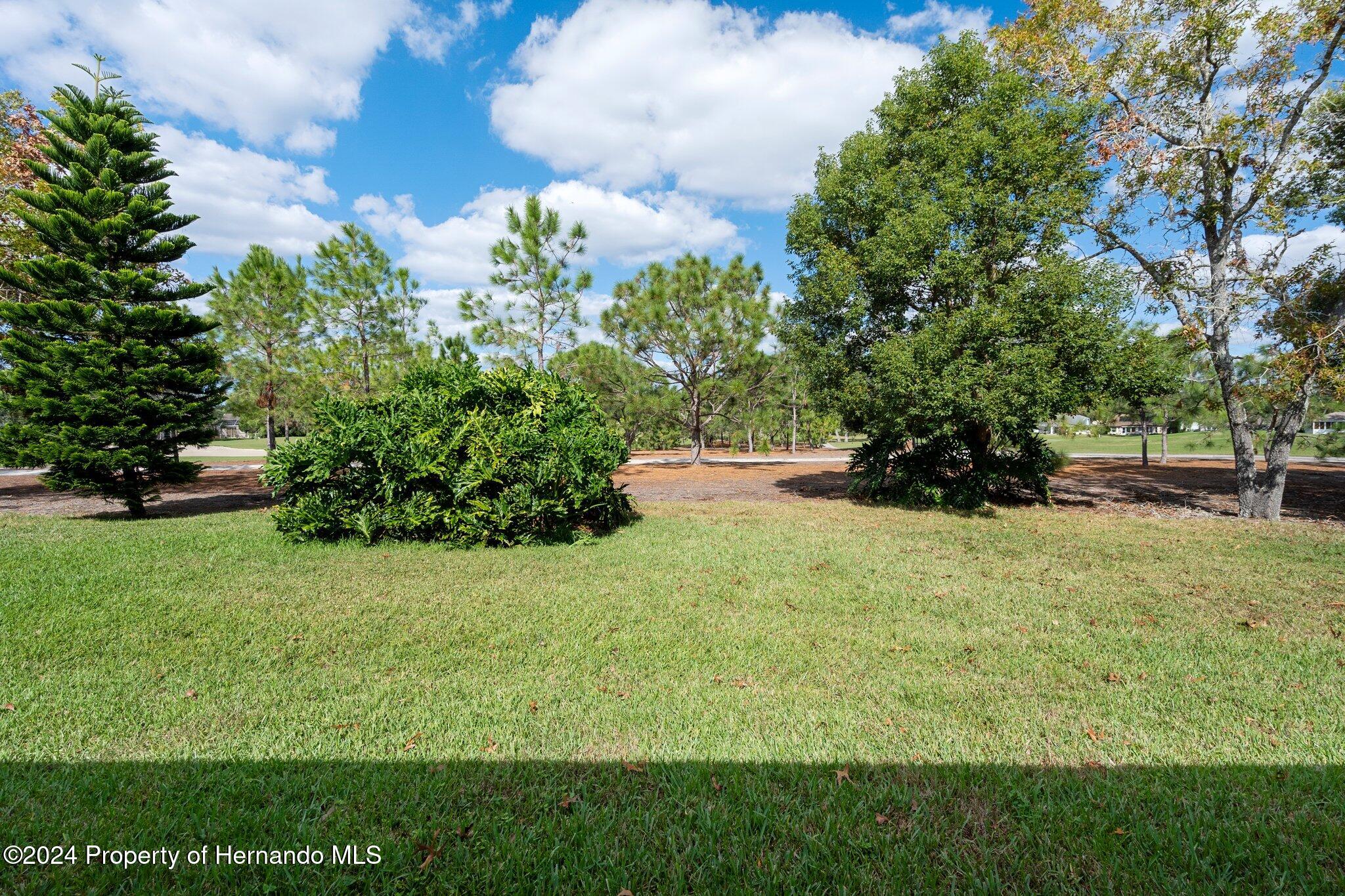 3160 Whispering Pines Court, Spring Hill, Florida image 32